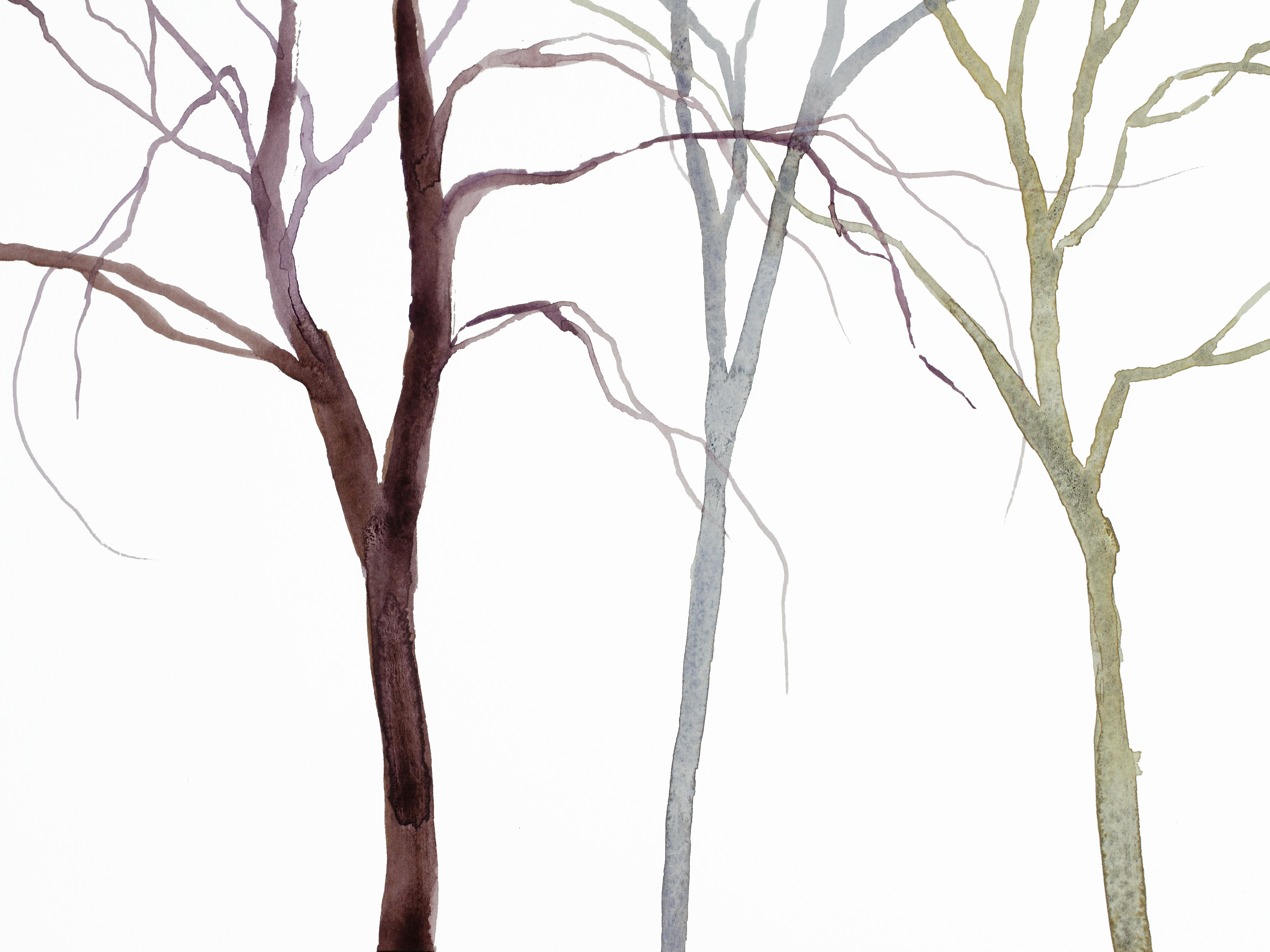 Elizabeth Becker, Tree Study No. 38 Elizabeth Becker, Tree Study No. 38