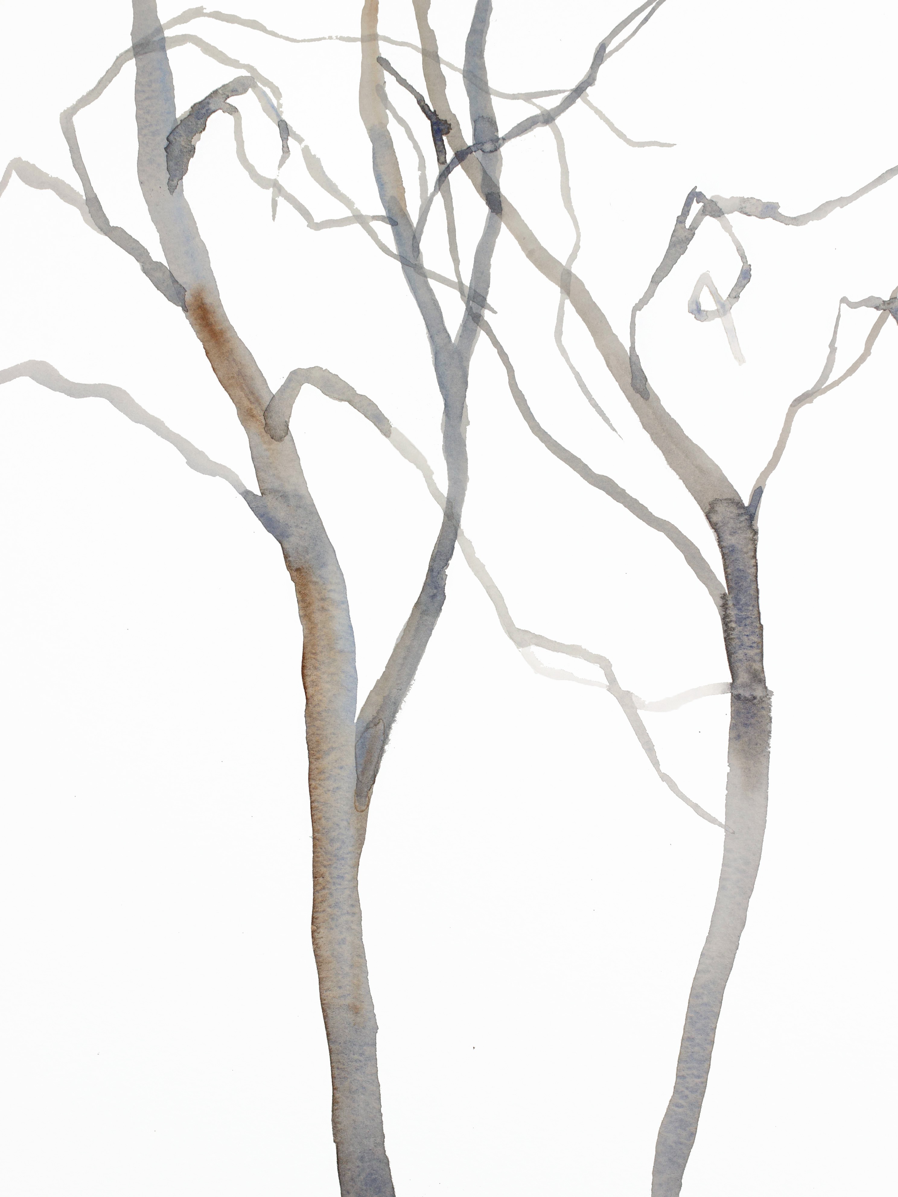 Elizabeth Becker, Tree Study No. 40 Elizabeth Becker, Tree Study No. 40