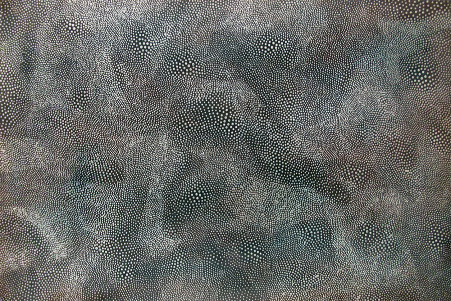 Nash, Lagon 3 Nash, Lagon 3