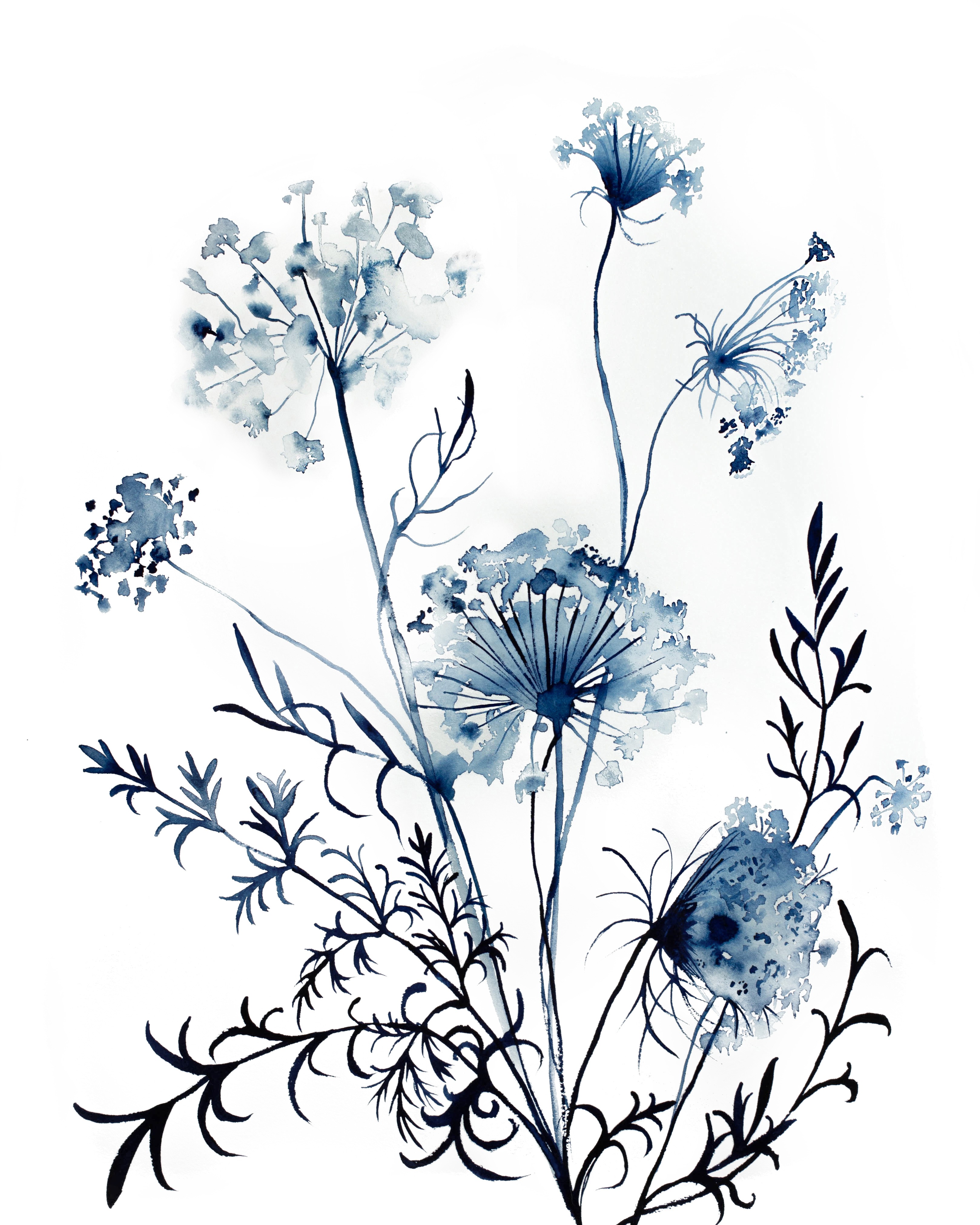 Elizabeth Becker, Queen Anne's Lace No. 10 Elizabeth Becker, Queen Anne's Lace No. 10