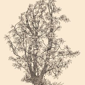 Fine Art Drawings, L'arbre du souvenir, Valérie Abadie