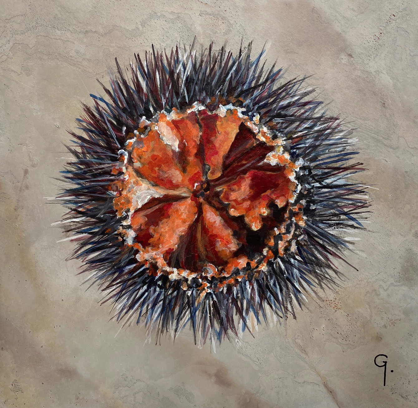 Caroline Godefroy, O2 Caroline Godefroy, O2