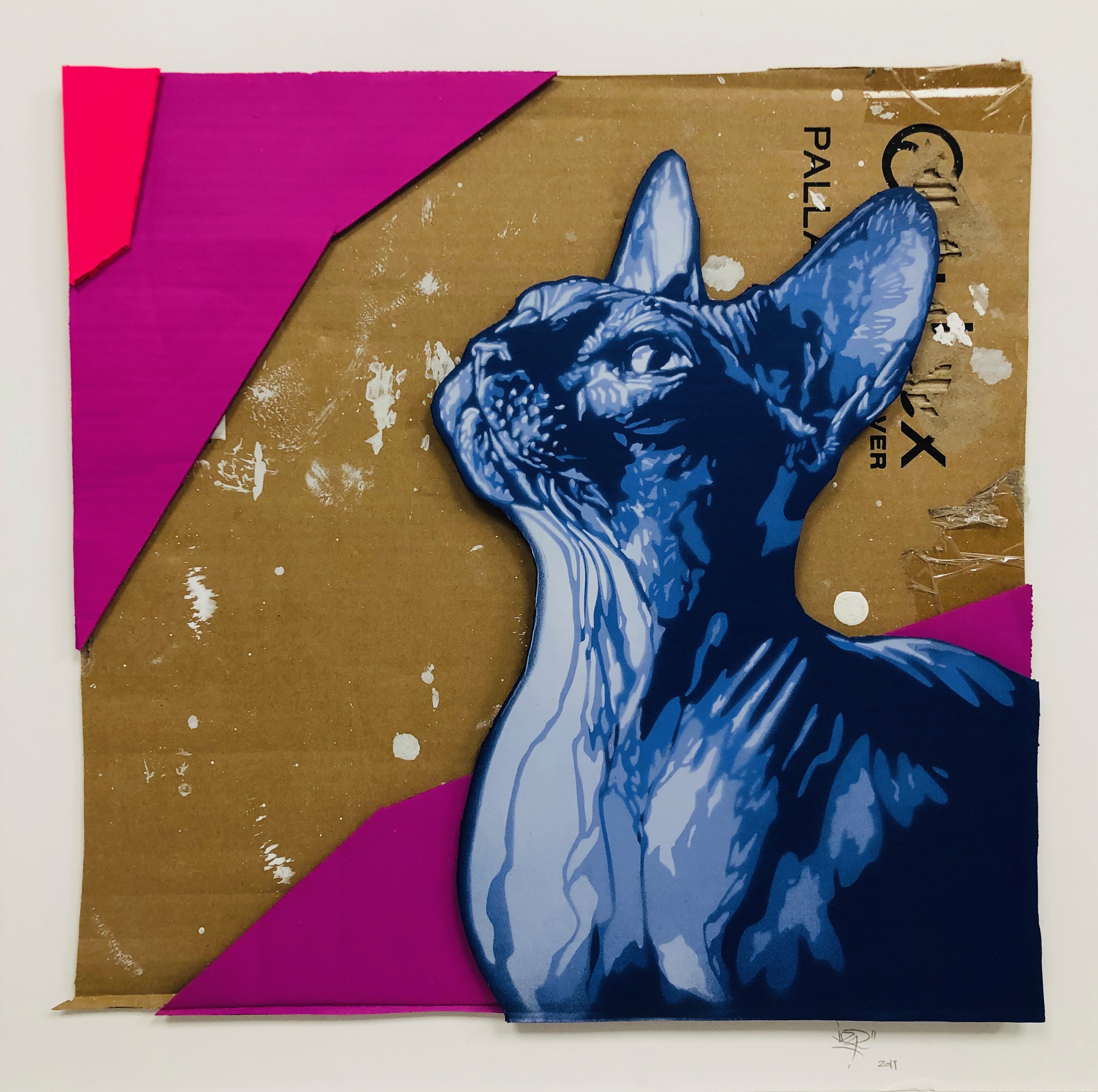 Viza, Cool cat Viza, Cool cat