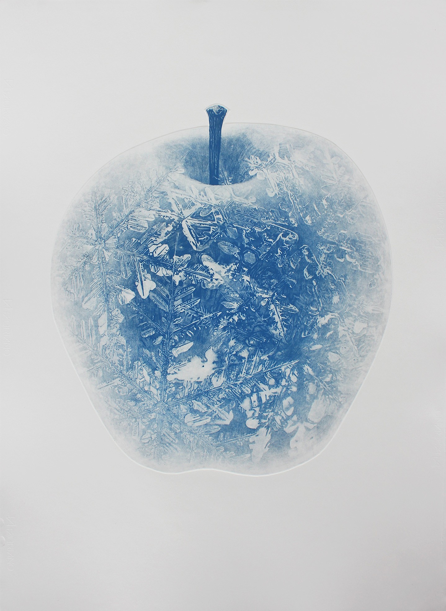 Vasil Angelov, Snow White Vasil Angelov, Snow White