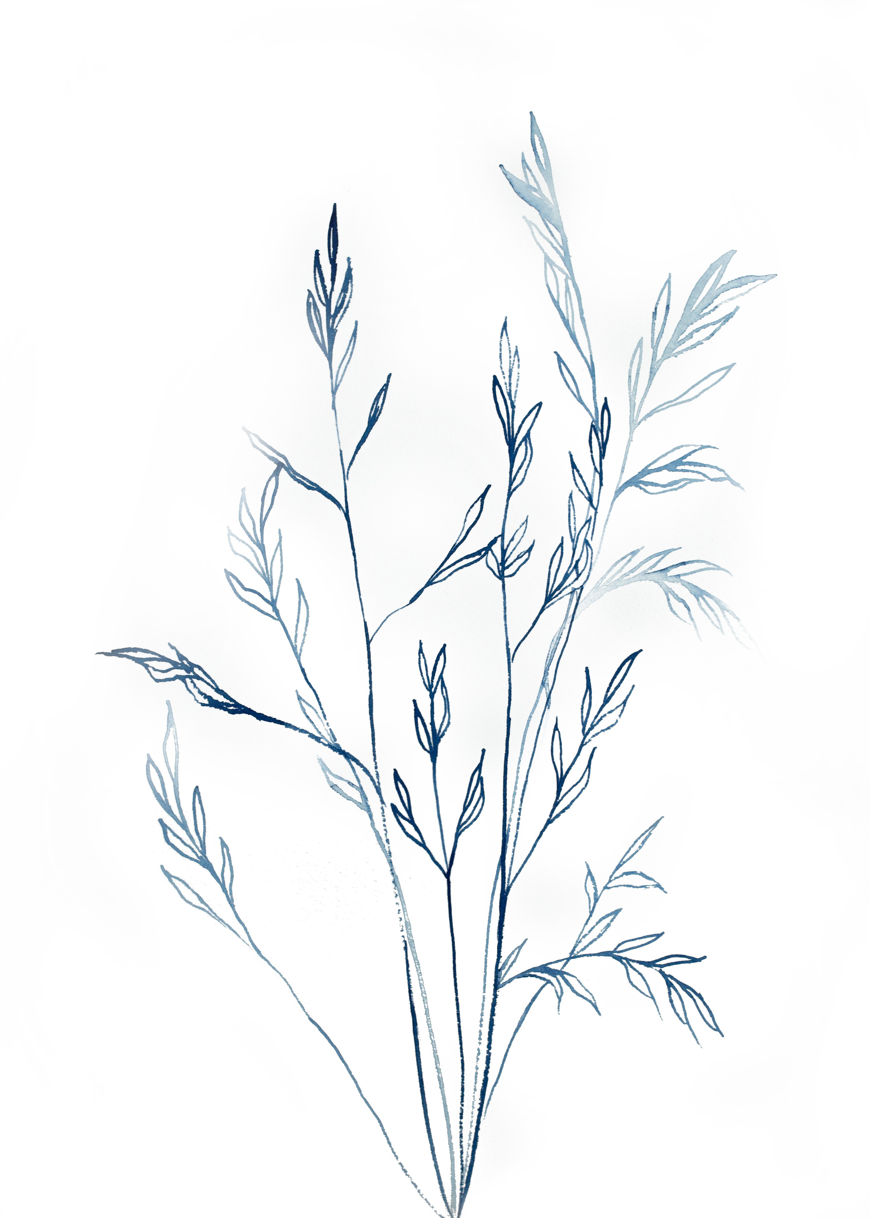 Elizabeth Becker, Grass Study No. 4 Elizabeth Becker, Grass Study No. 4