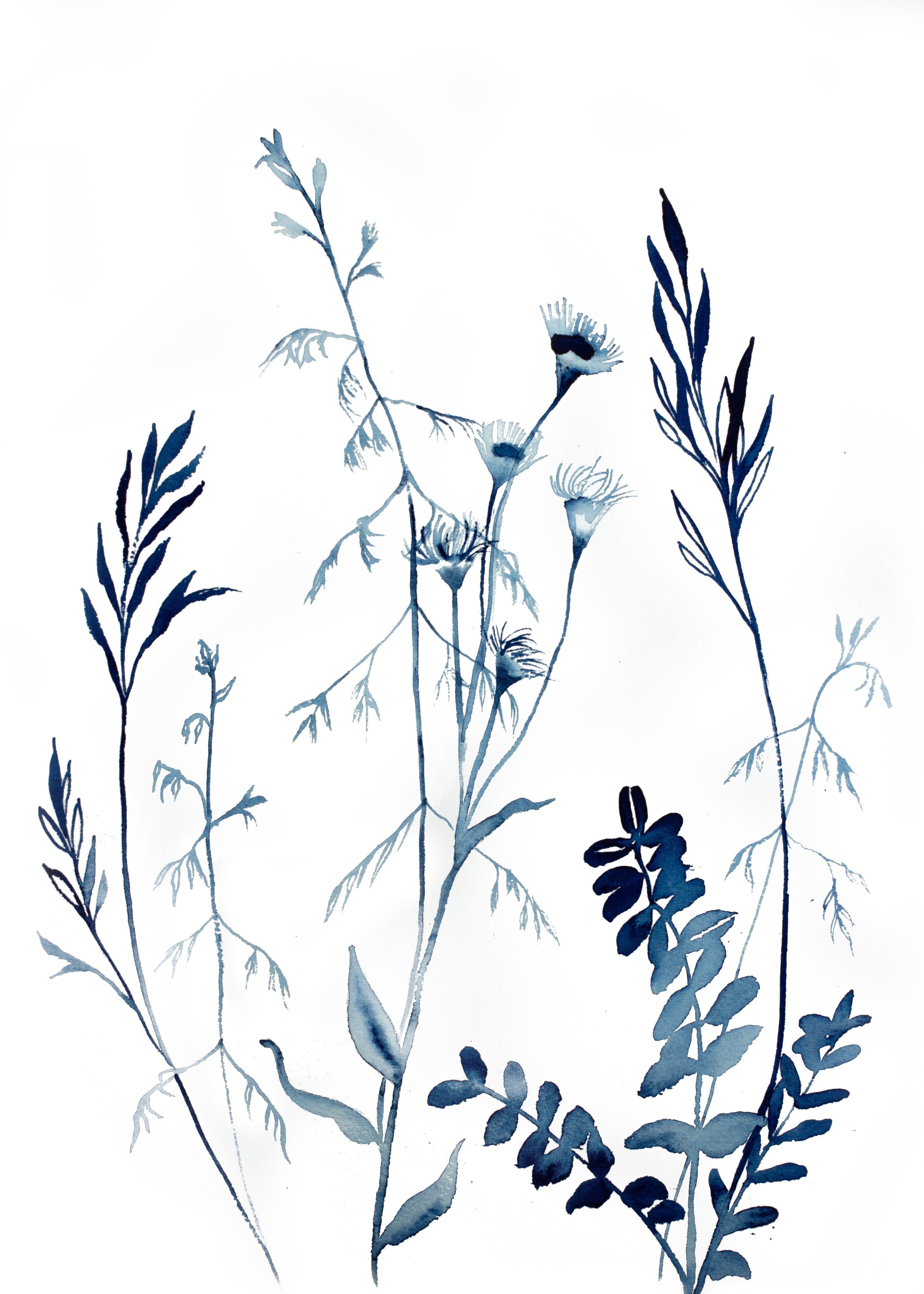 Elizabeth Becker, Meadow Study No. 1 Elizabeth Becker, Meadow Study No. 1