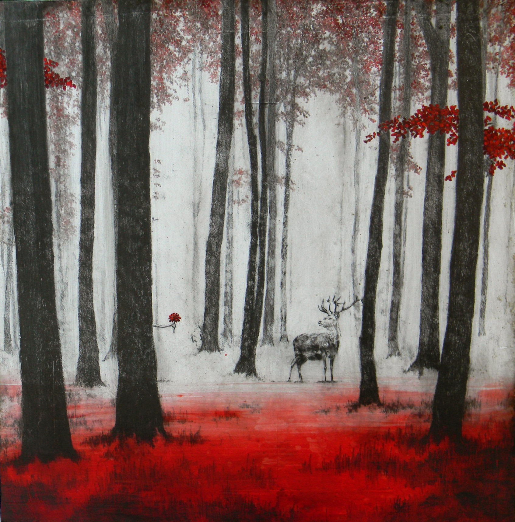 Antoine Josse, Désolé ! Antoine Josse, Désolé !