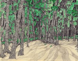 Fine Art Drawings, La forêt du lac, Valérie Abadie
