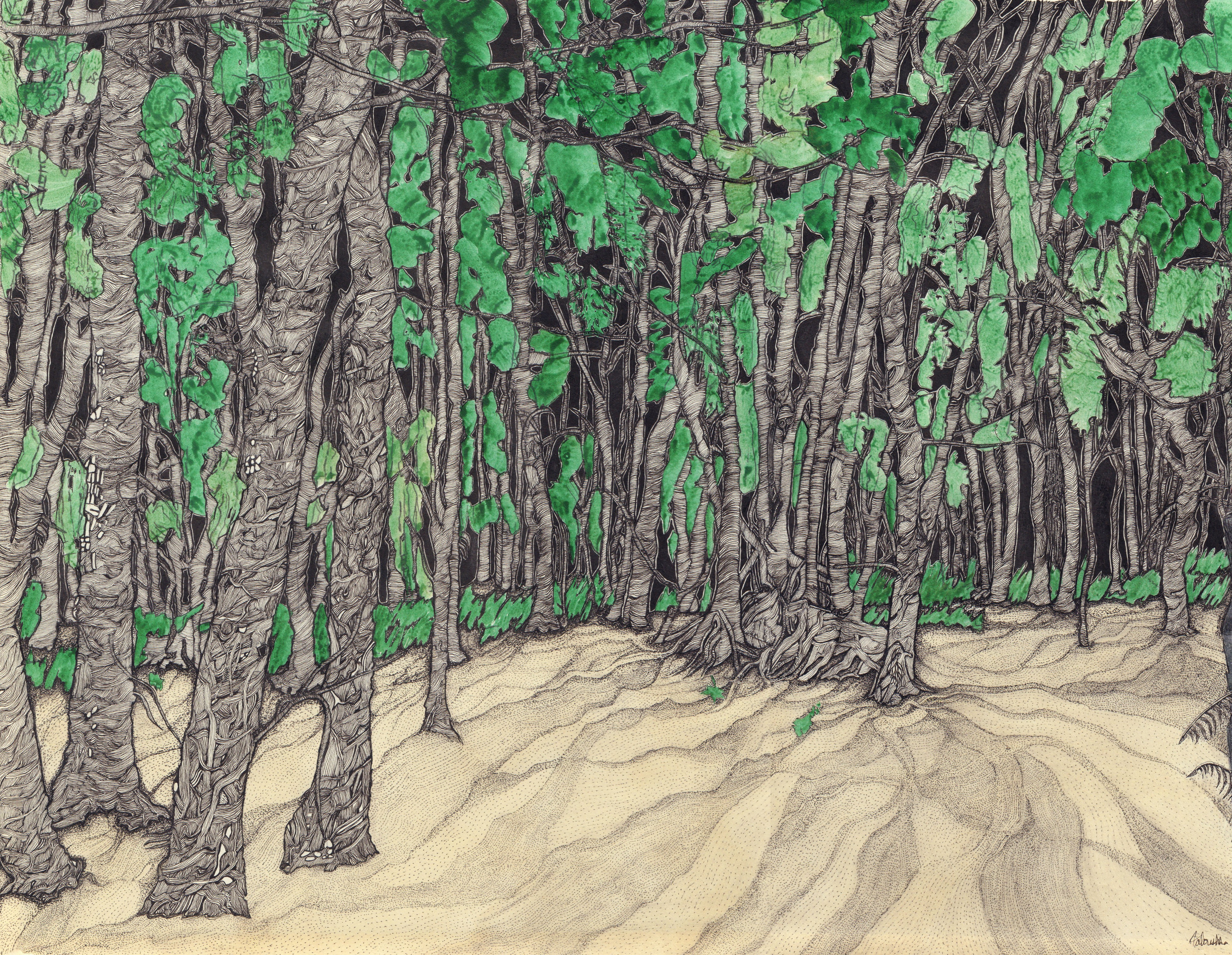 Valérie Abadie, La forêt du lac Valérie Abadie, La forêt du lac