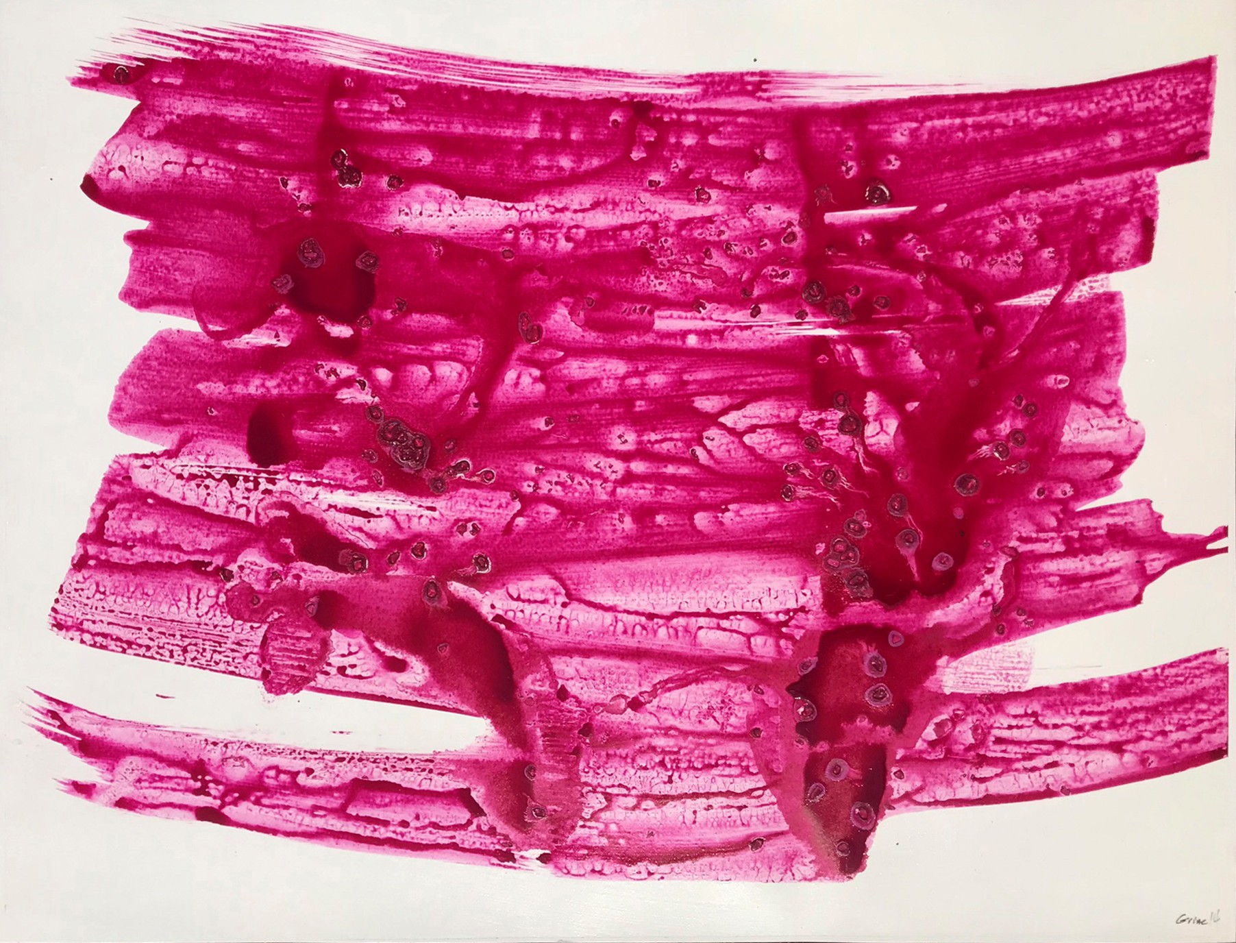 Michael Grine, Corpuscles Michael Grine, Corpuscles
