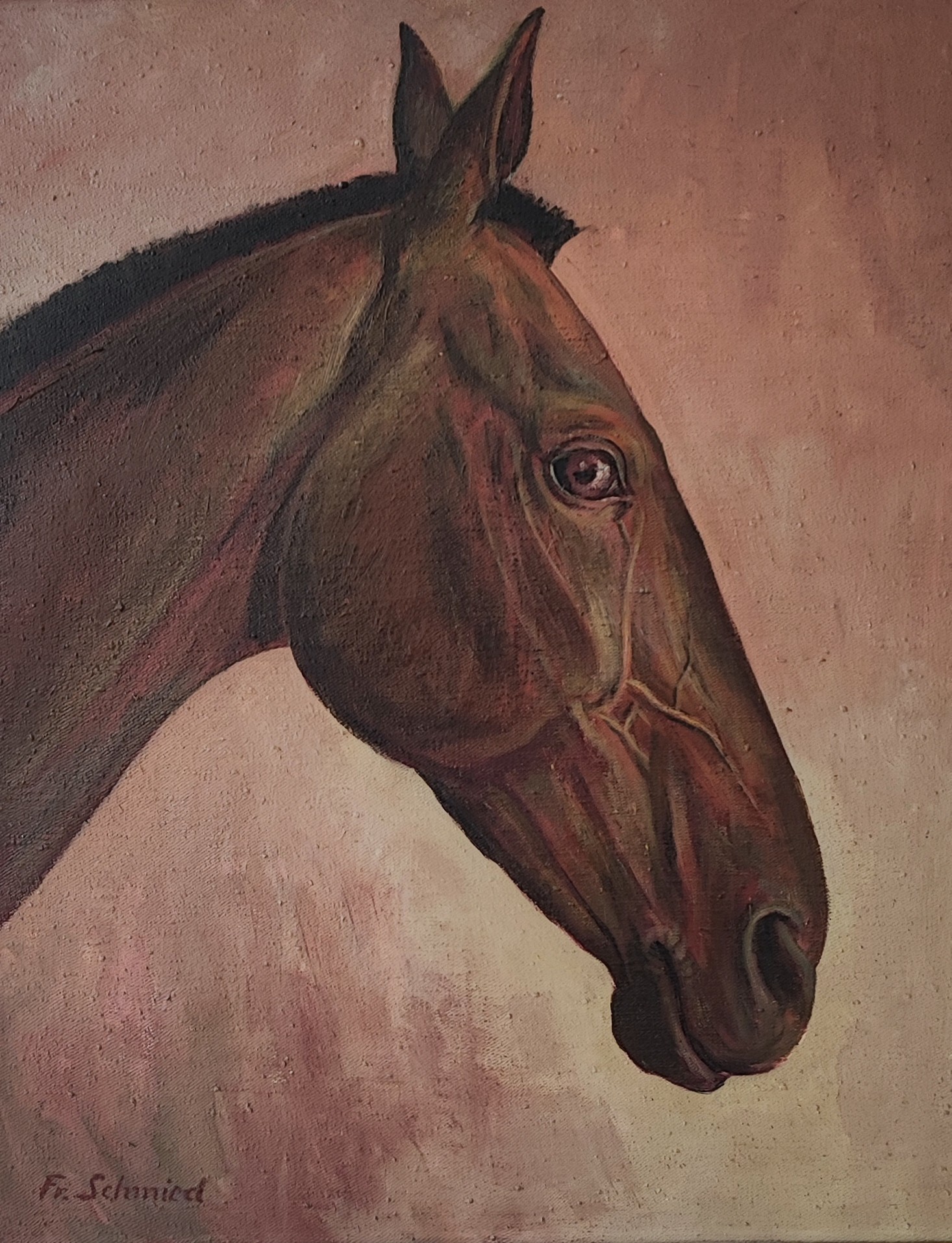 Frédéric Schmied, Cheval Nita Frédéric Schmied, Cheval Nita