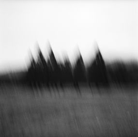 Photography, Pulse, Mihaela Ivanova