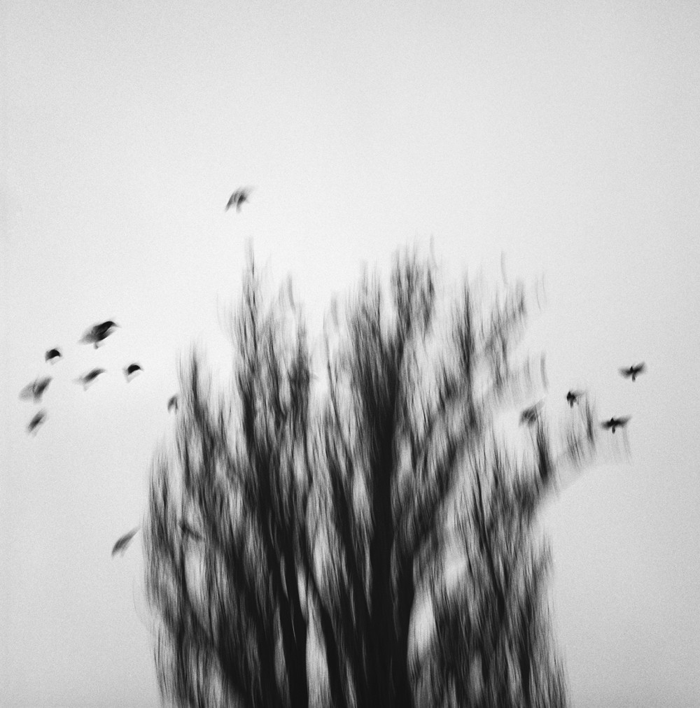 Mihaela Ivanova, It’s nice and quiet… Mihaela Ivanova, It’s nice and quiet…