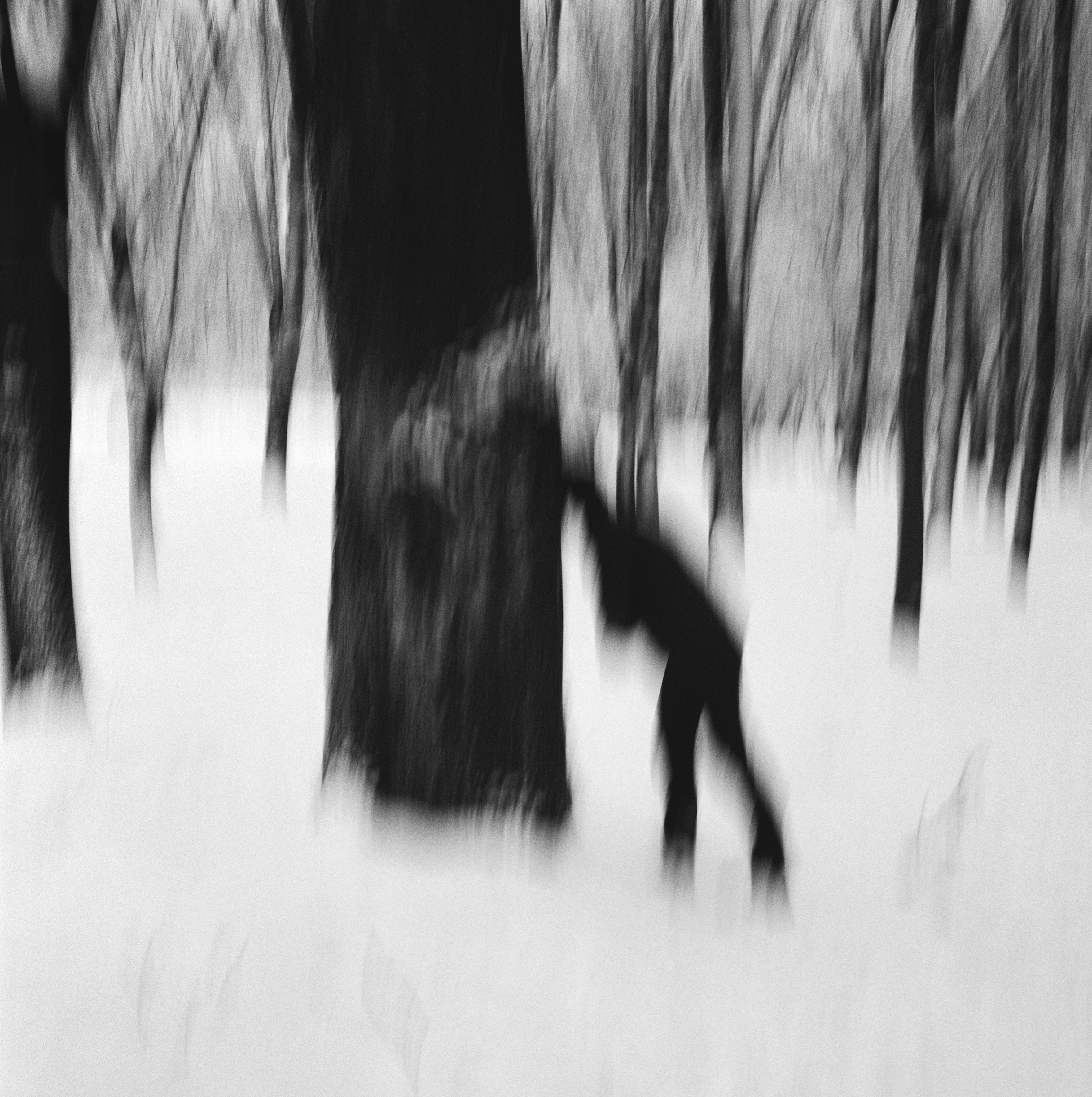 Mihaela Ivanova, Hide and seek Mihaela Ivanova, Hide and seek