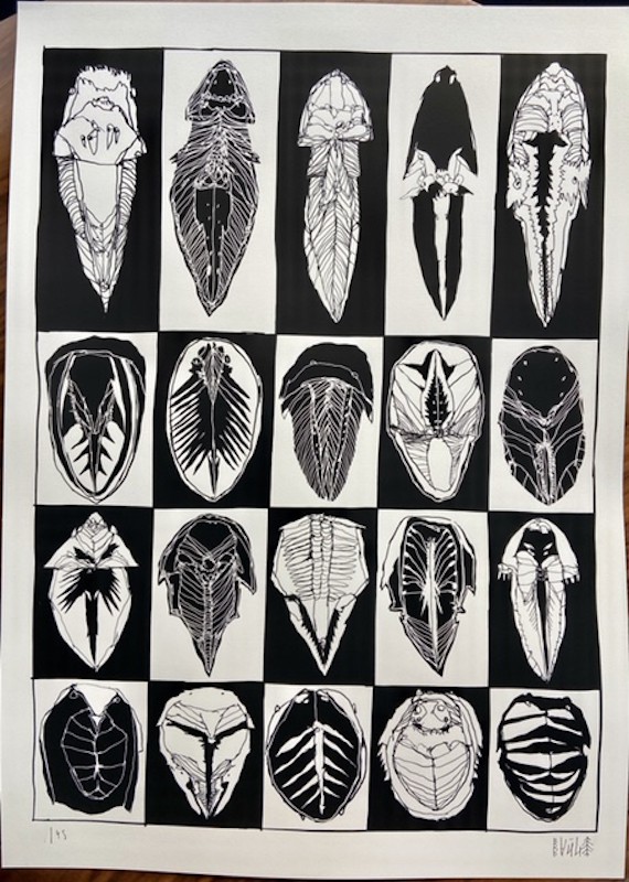 Bault, Les insectes Bault, Les insectes