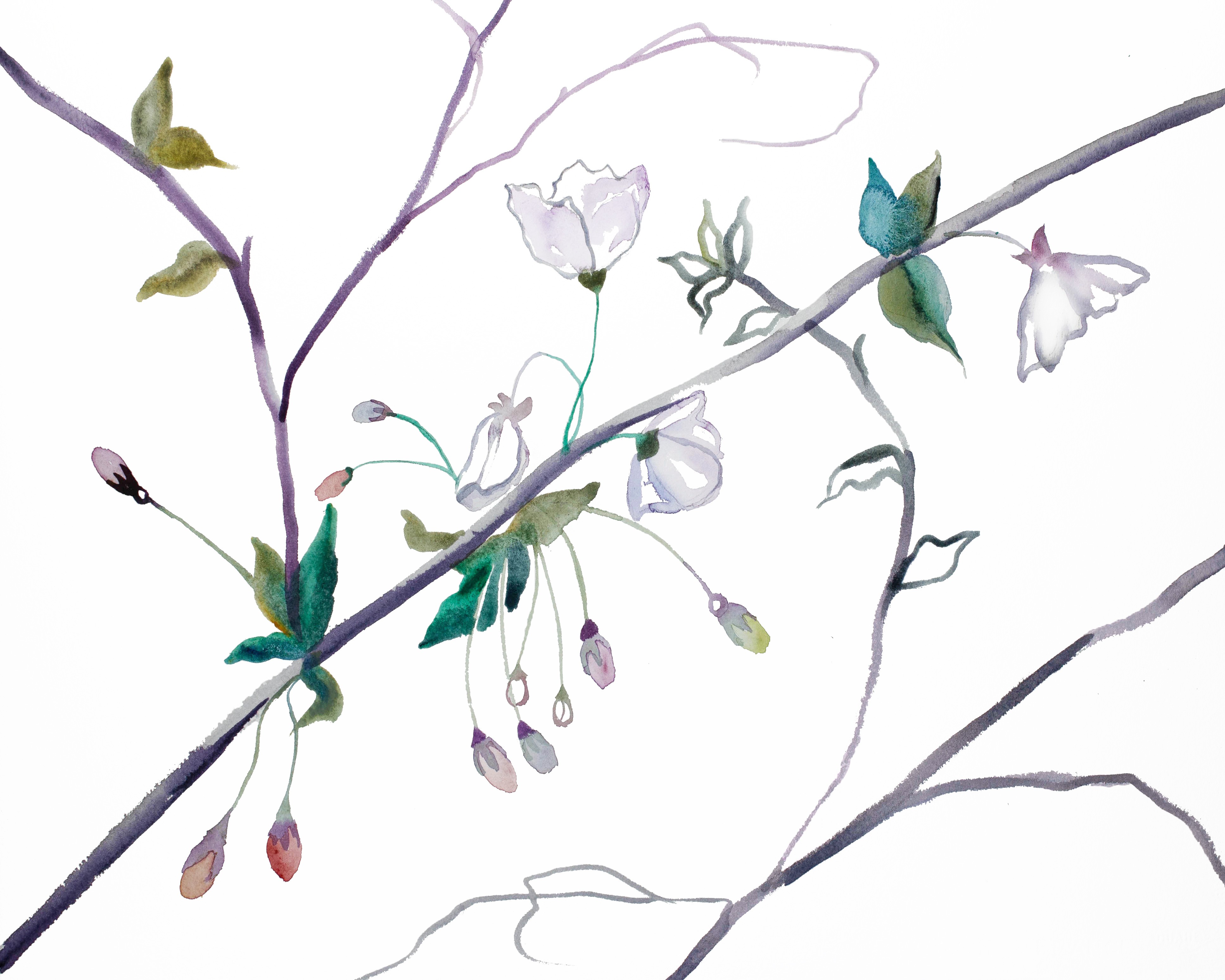 Elizabeth Becker, Cherry Blossom No. 30 Elizabeth Becker, Cherry Blossom No. 30