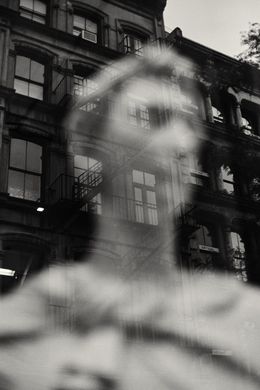 Photography, Castle of Glass, Leandro Franco