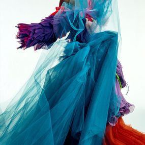 Photography, corps figuré #5, Leandro Franco