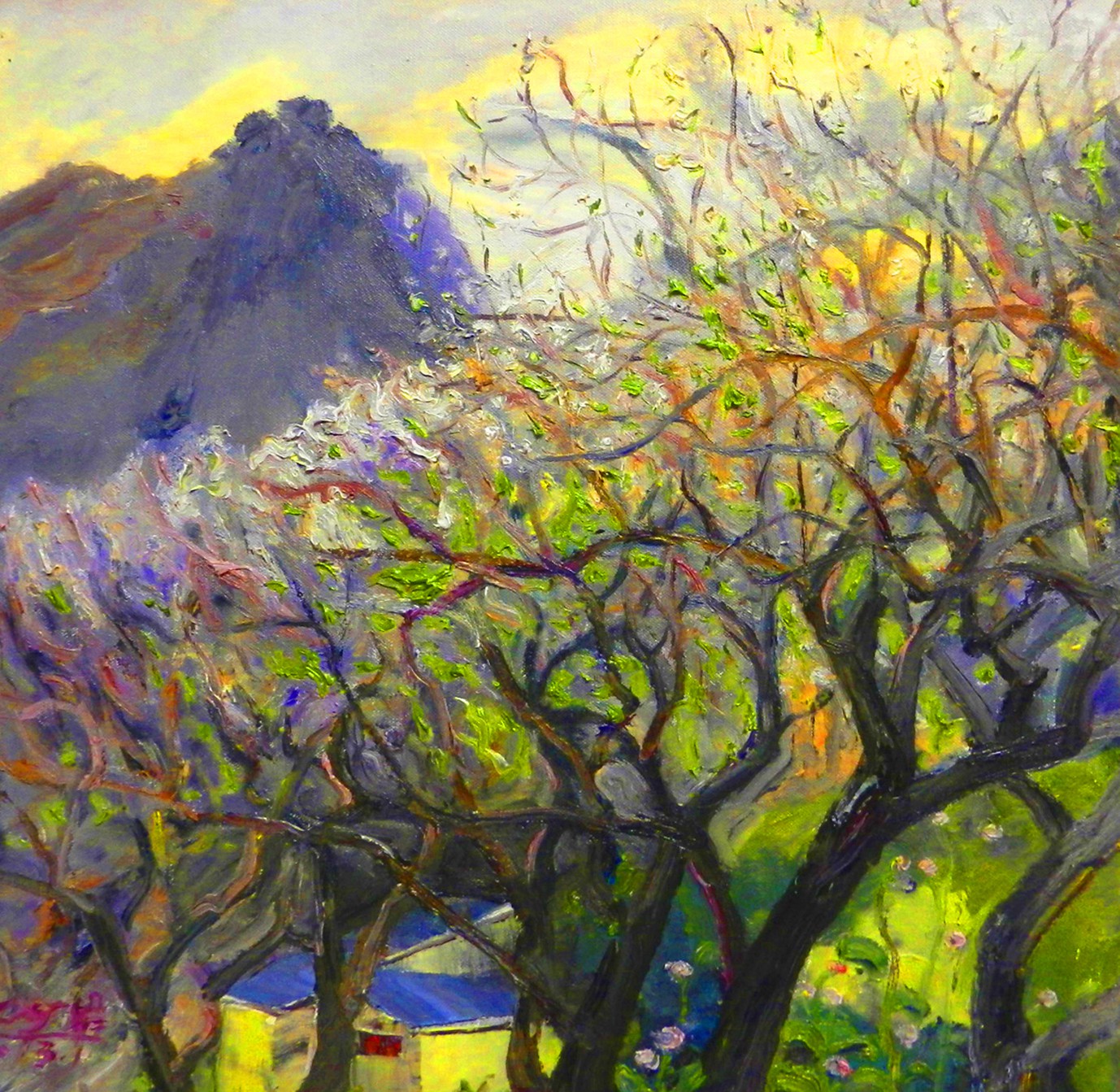 Judy C. Zheng, Sunset Judy C. Zheng, Sunset