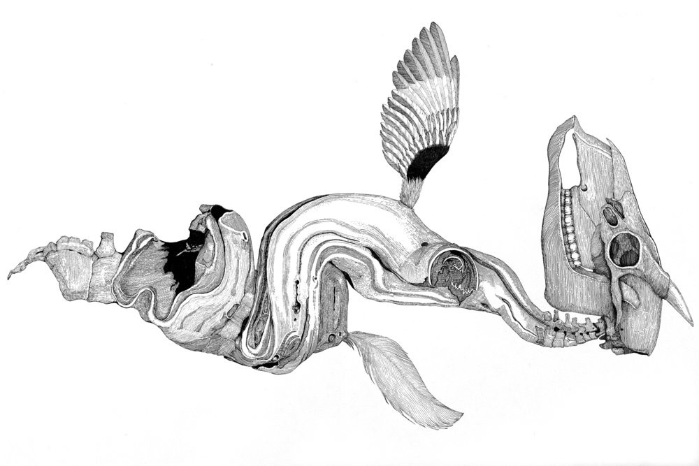 He Ling, Unknown creatures No.1 He Ling, Unknown creatures No.1