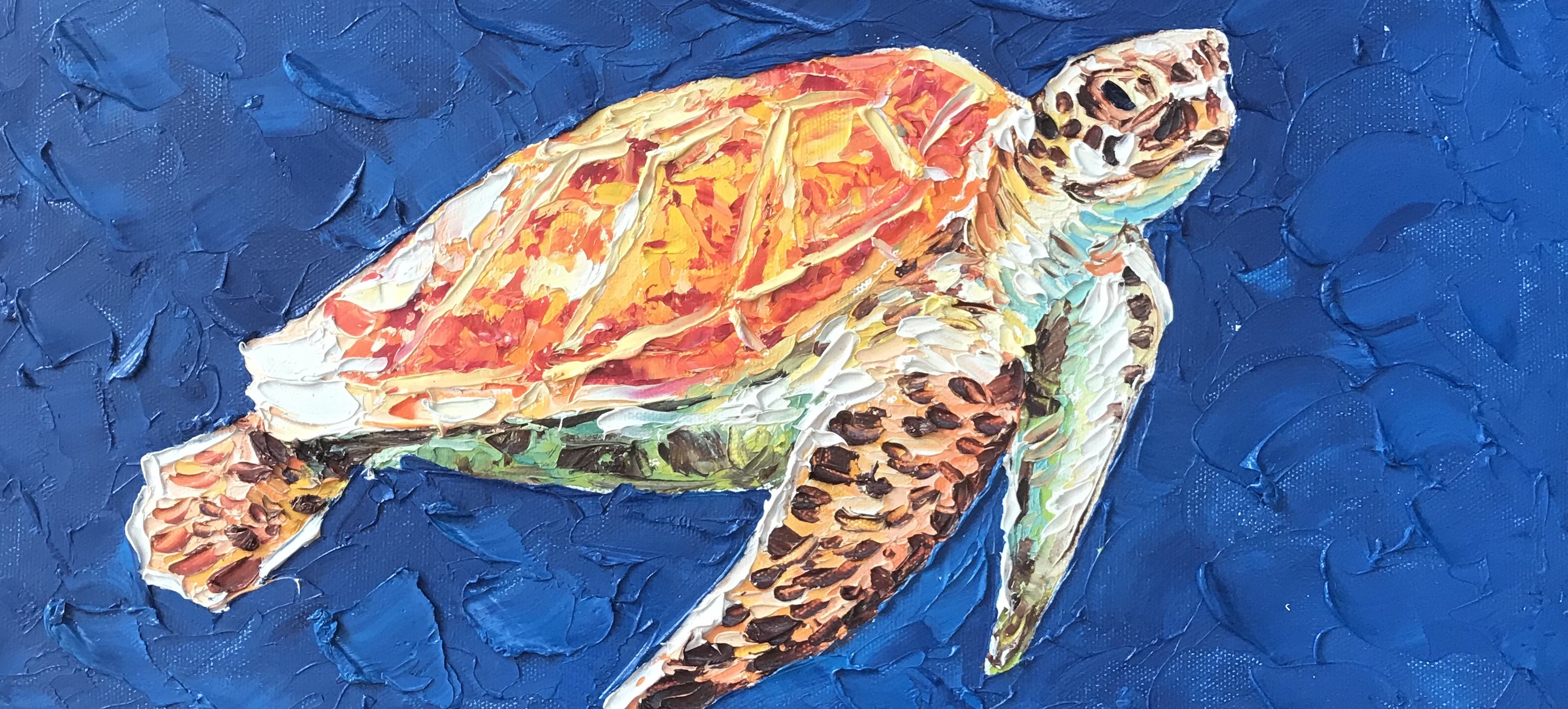Marie Jussé, Tortue 2 Marie Jussé, Tortue 2