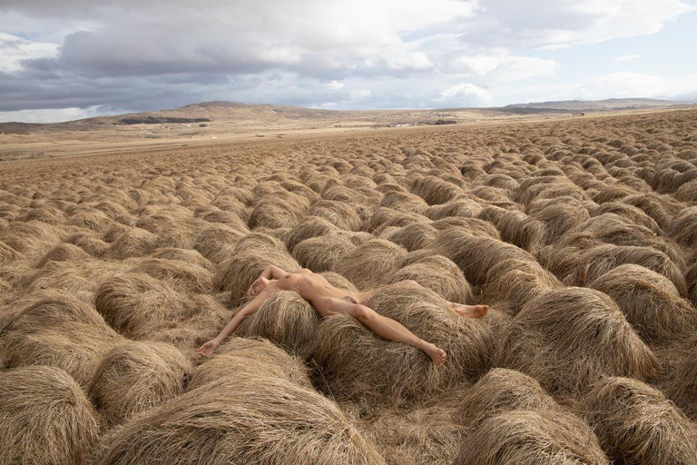 Uwe Ommer, Marise. From the Nature series Uwe Ommer, Marise. From the Nature series