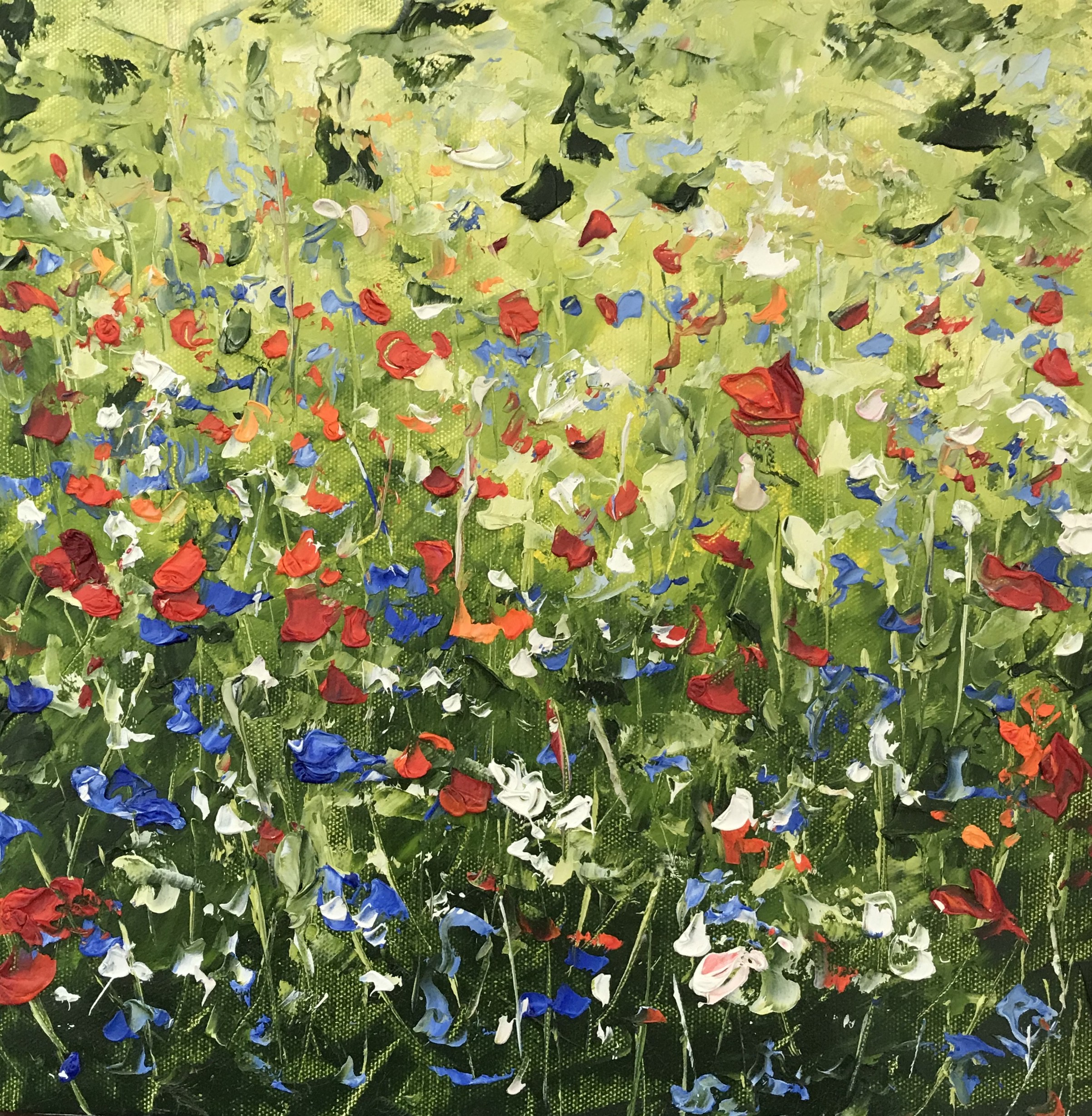 Marie Jussé, Coquelicots Marie Jussé, Coquelicots