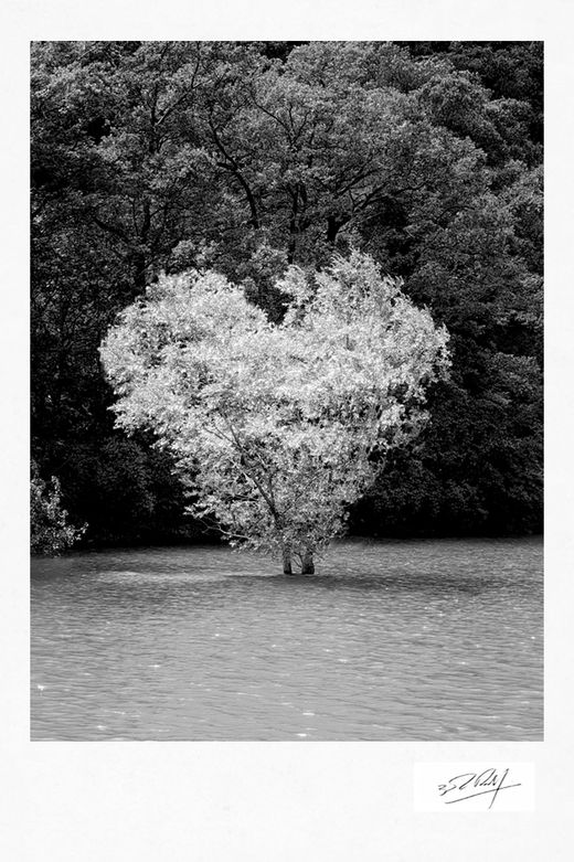 Benoit Ruff