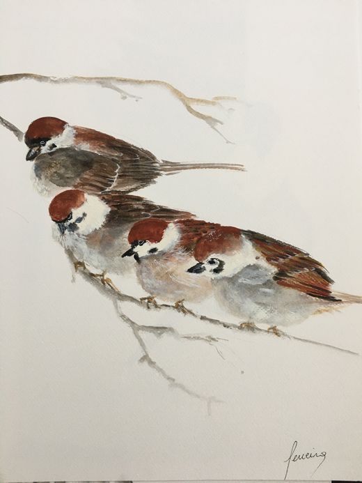 Ghislaine Ferreira