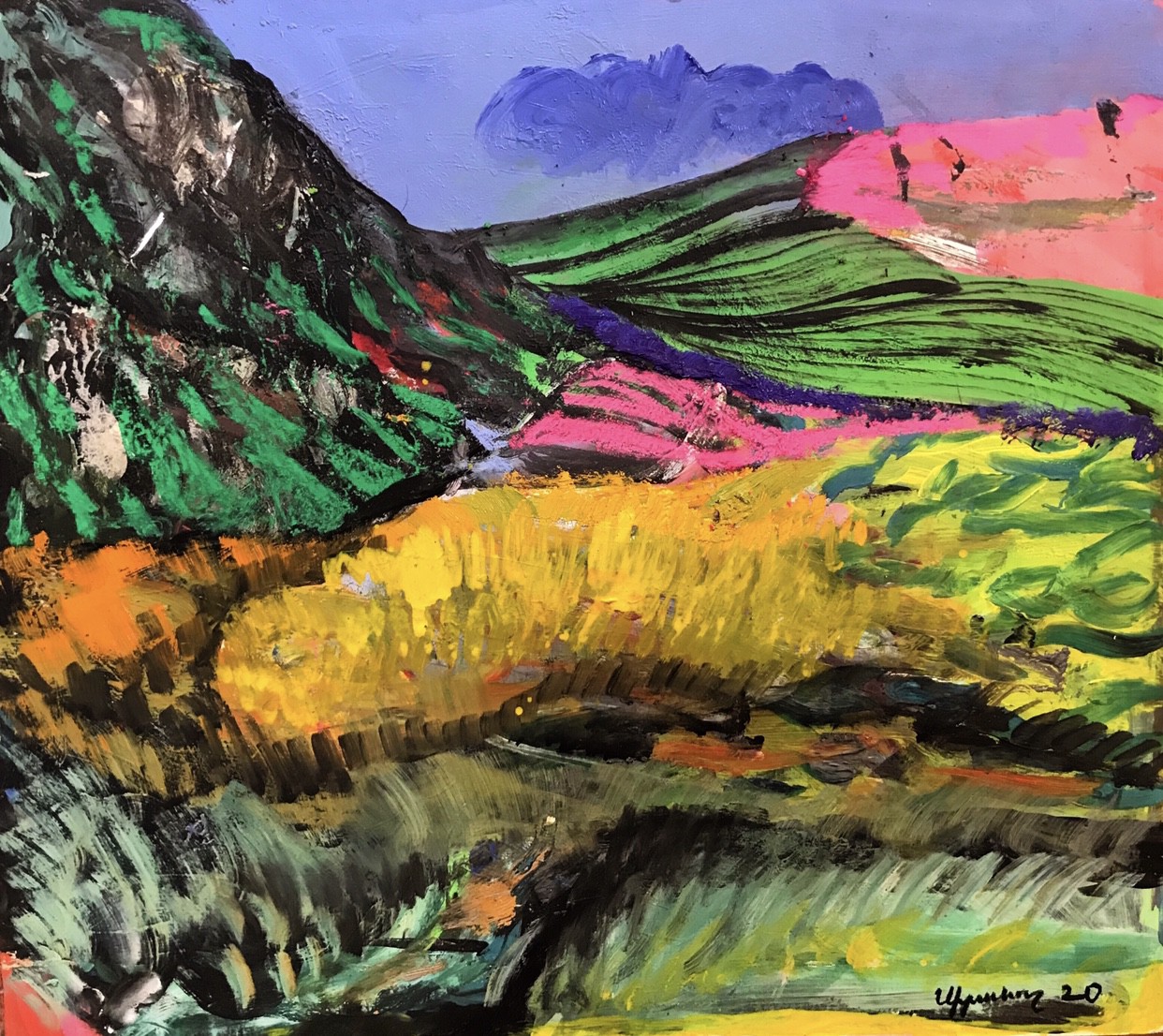 Siranush Vardanyan, Field Siranush Vardanyan, Field