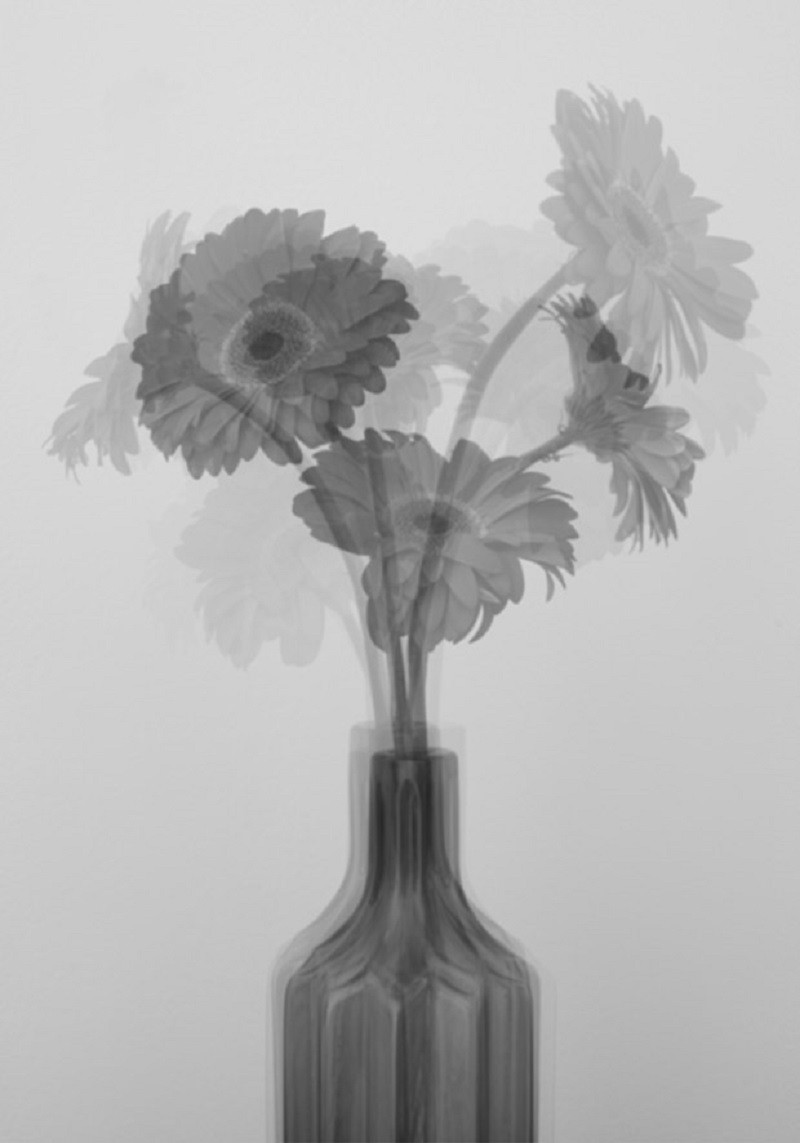 Salvatore Arnone, Untitled, From Lullaby Series Salvatore Arnone, Untitled, From Lullaby Series