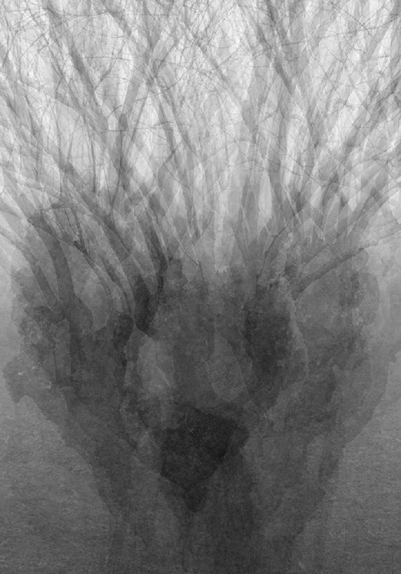 Salvatore Arnone, Untitled, From Lullaby Series Salvatore Arnone, Untitled, From Lullaby Series
