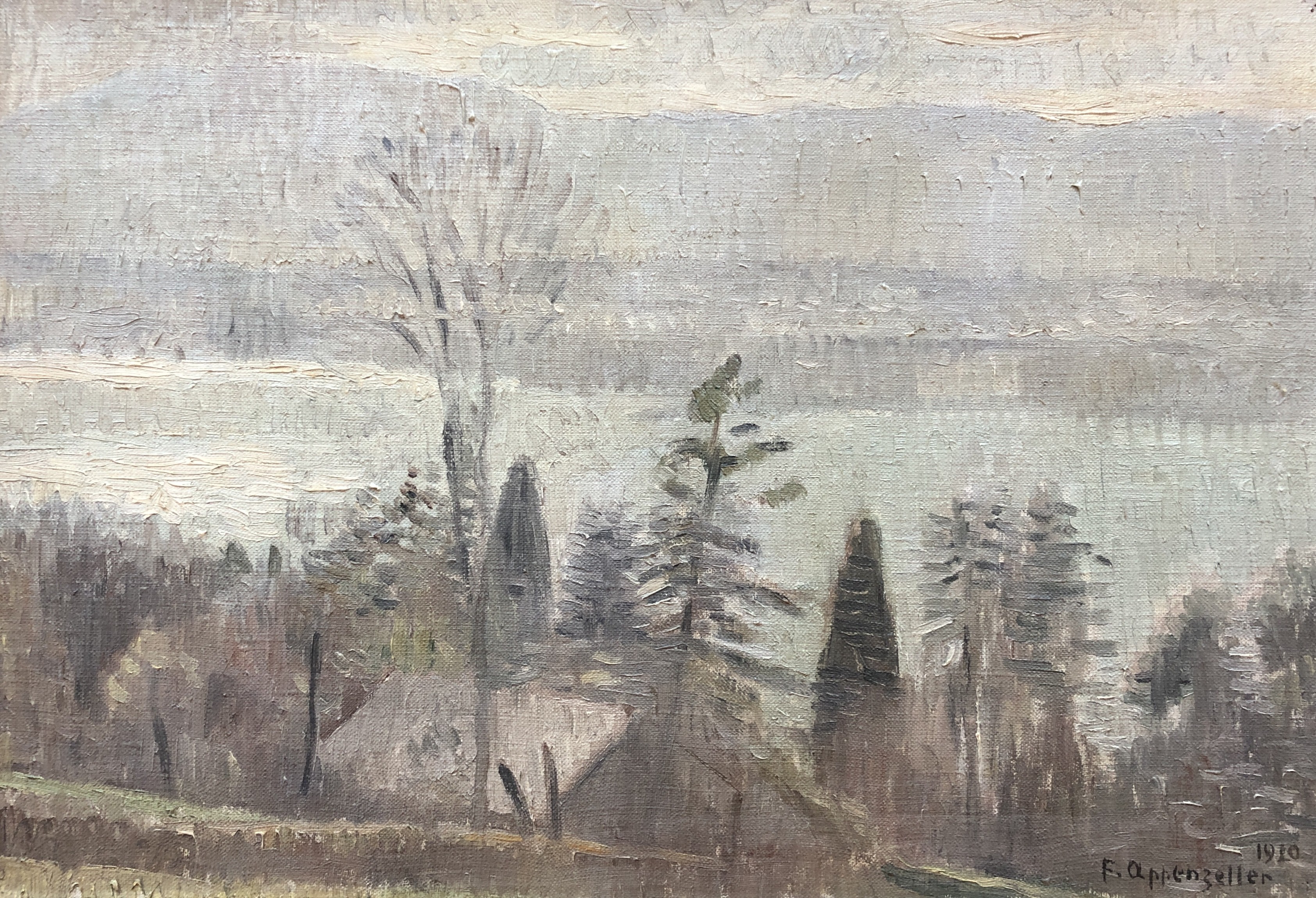 Charles Felix Appenzeller, Vue sur le lac Charles Felix Appenzeller, Vue sur le lac