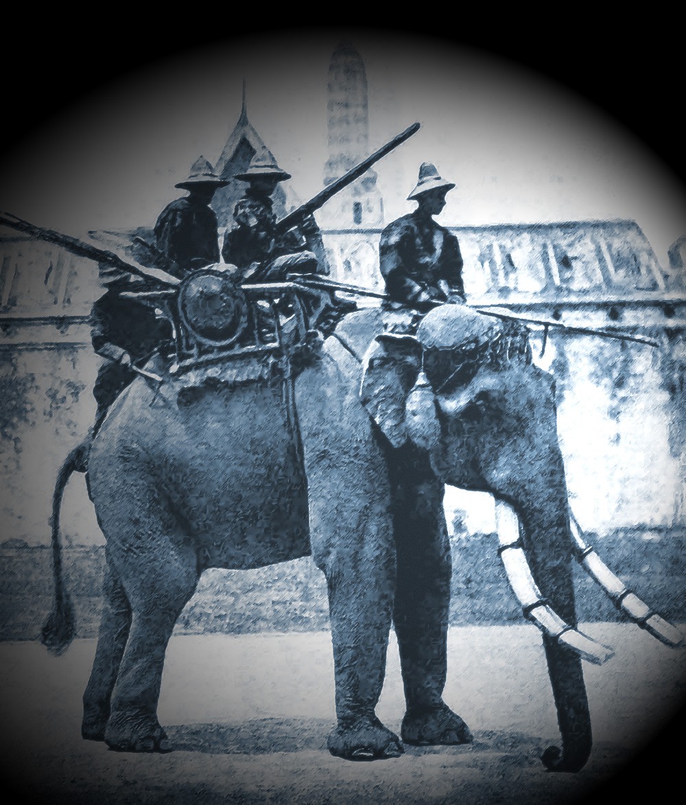The opium smoking white elephant, Éléphant de guerre, 1866 The opium smoking white elephant, Éléphant de guerre, 1866