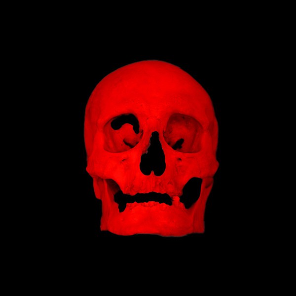 Cyrille Charro, Skull Cyrille Charro, Skull