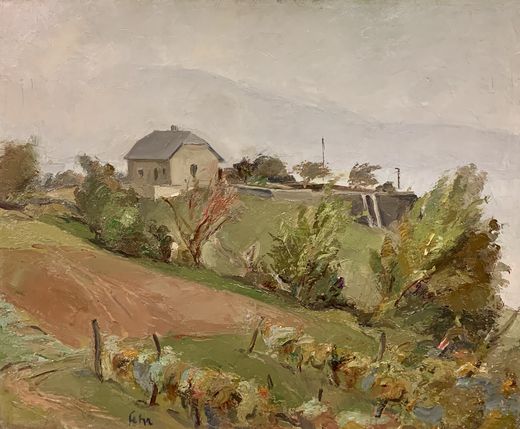 Henri Fehr