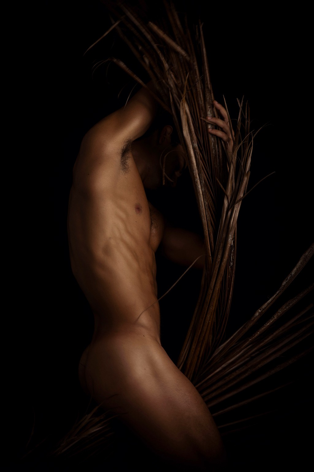 Ricky Cohete, Palmera Ricky Cohete, Palmera