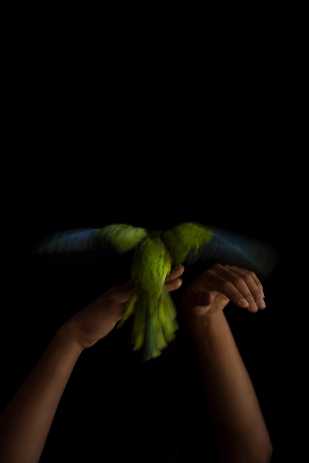 Ricky Cohete, Verde. Ricky Cohete, Verde.
