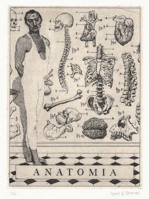 Wyart & Solomon