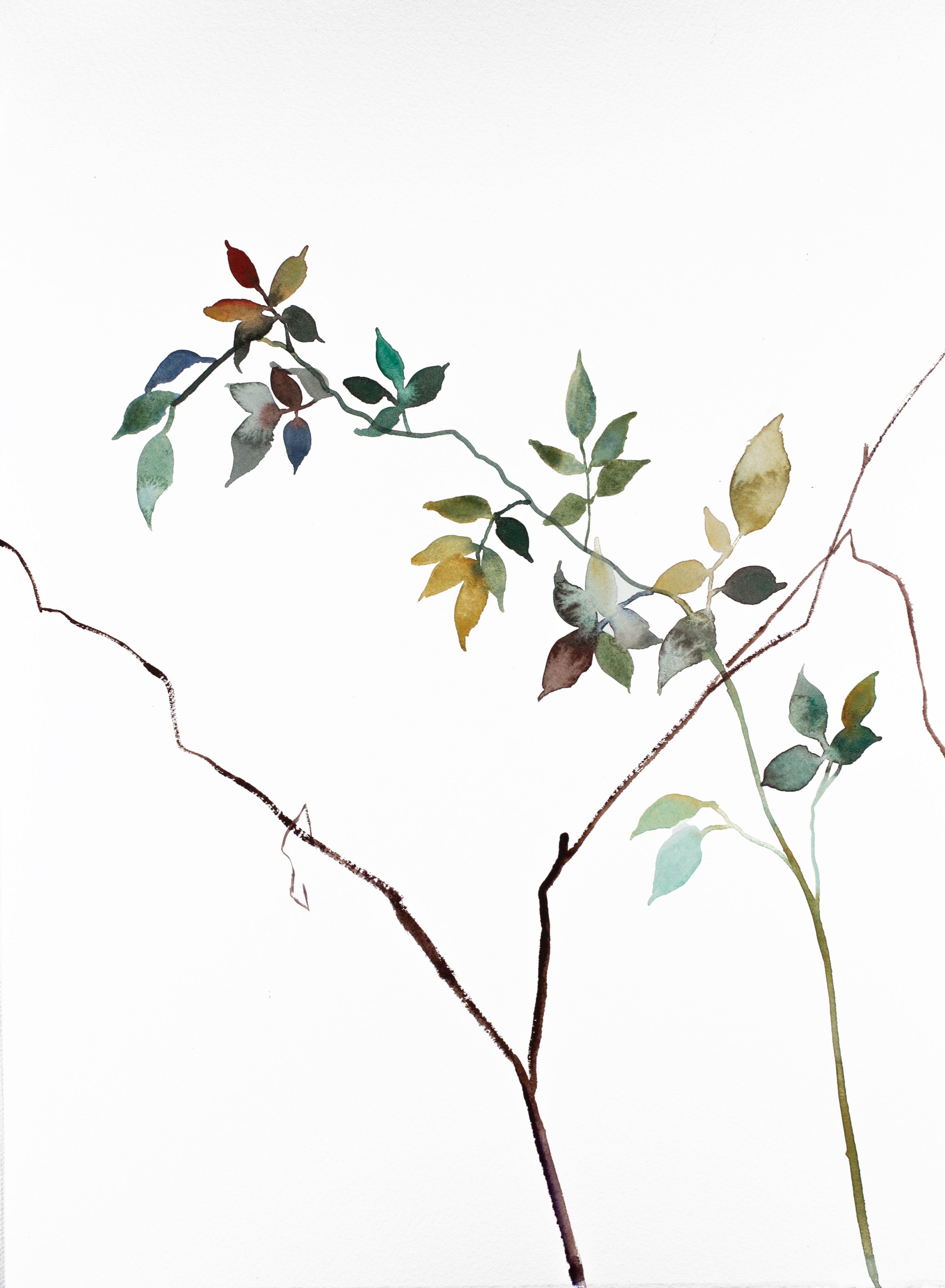 Elizabeth Becker, The Woods No. 105 Elizabeth Becker, The Woods No. 105