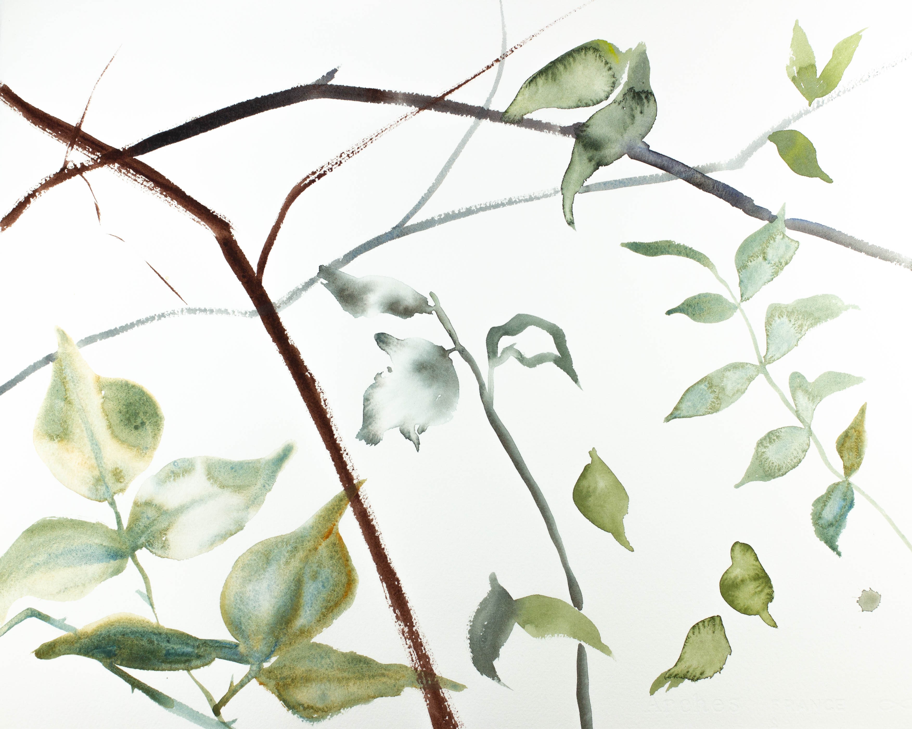 Elizabeth Becker, The Woods No. 100 Elizabeth Becker, The Woods No. 100