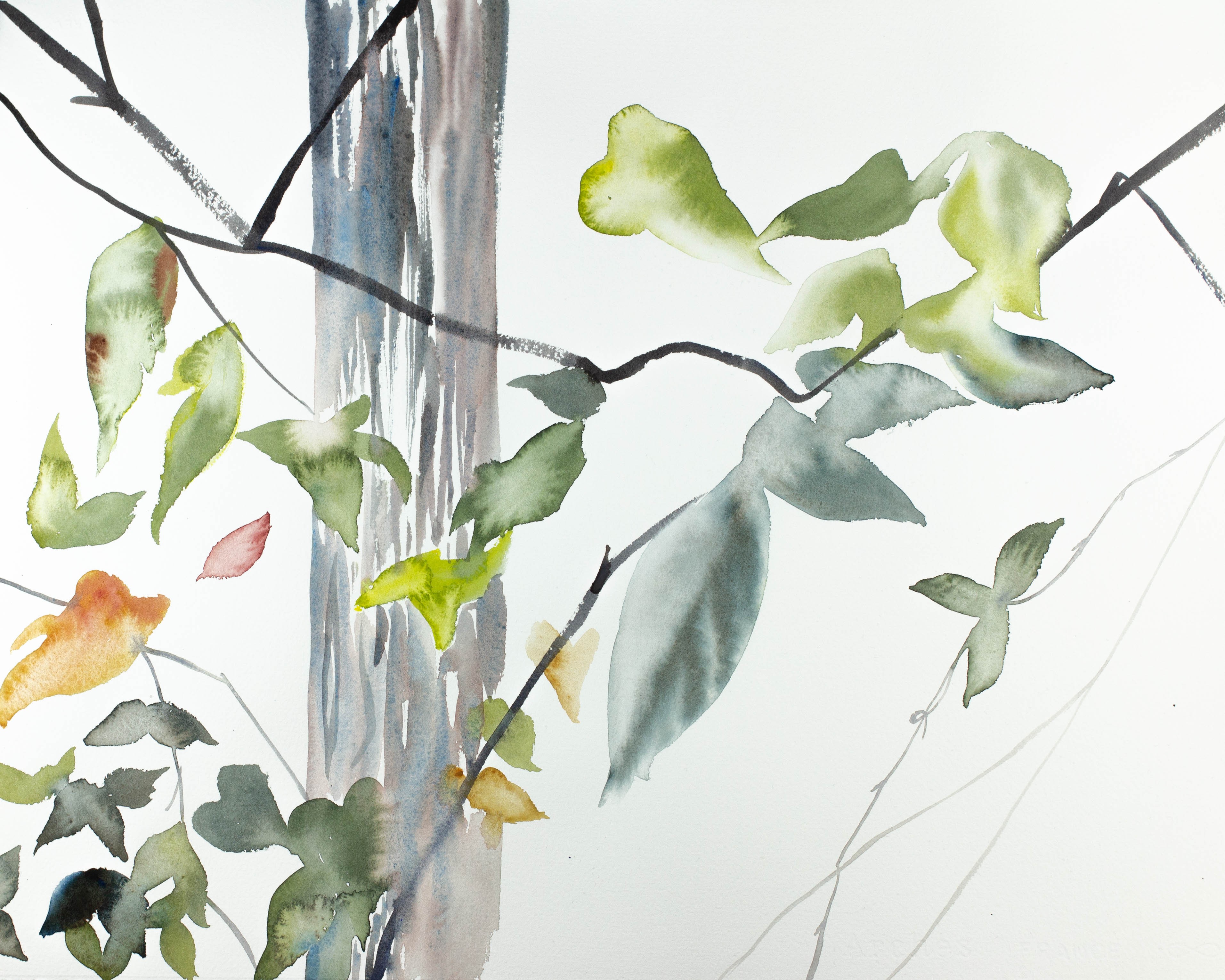 Elizabeth Becker, The Woods No. 102 Elizabeth Becker, The Woods No. 102