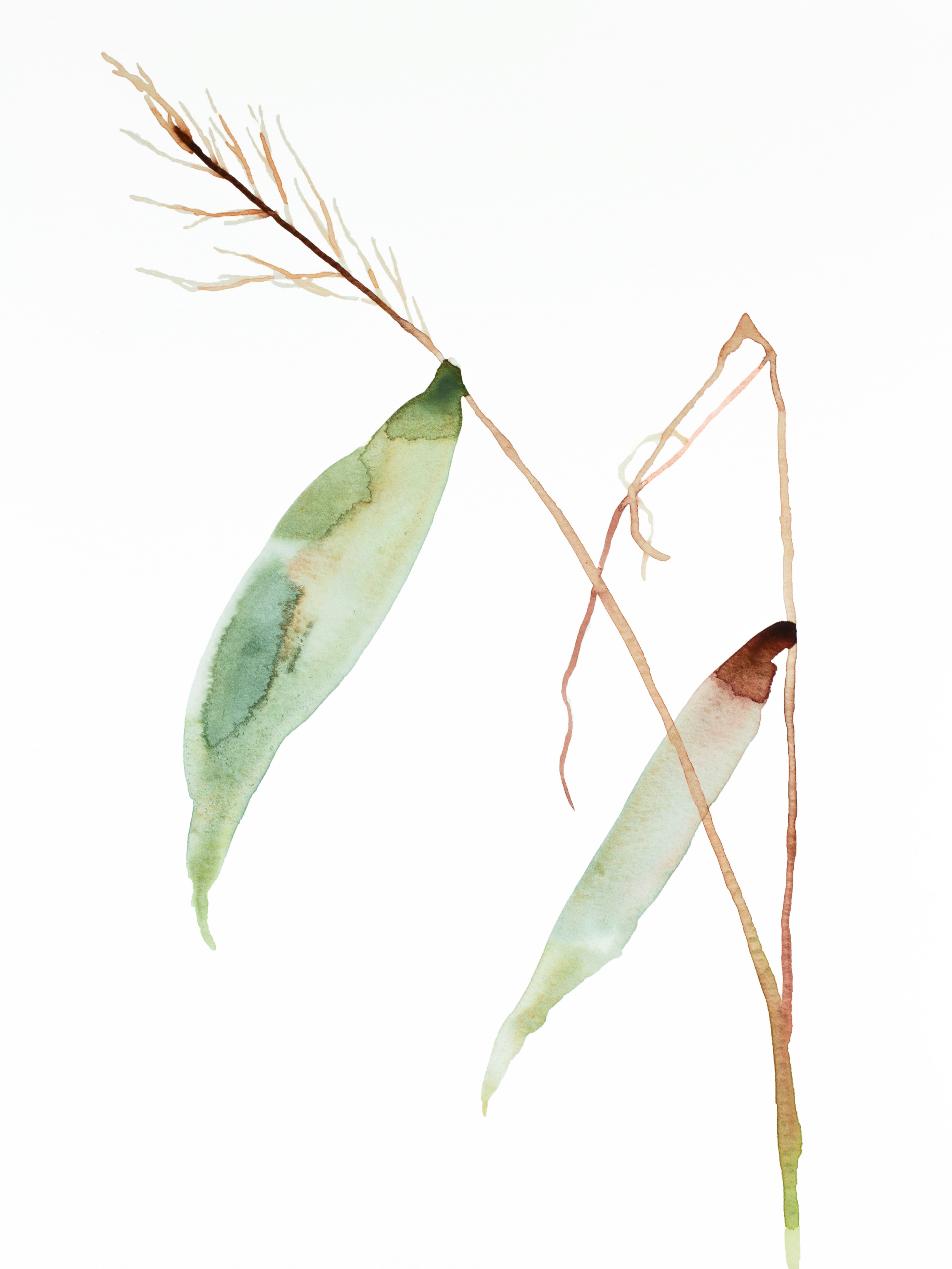 Elizabeth Becker, Grass Study No. 2 Elizabeth Becker, Grass Study No. 2