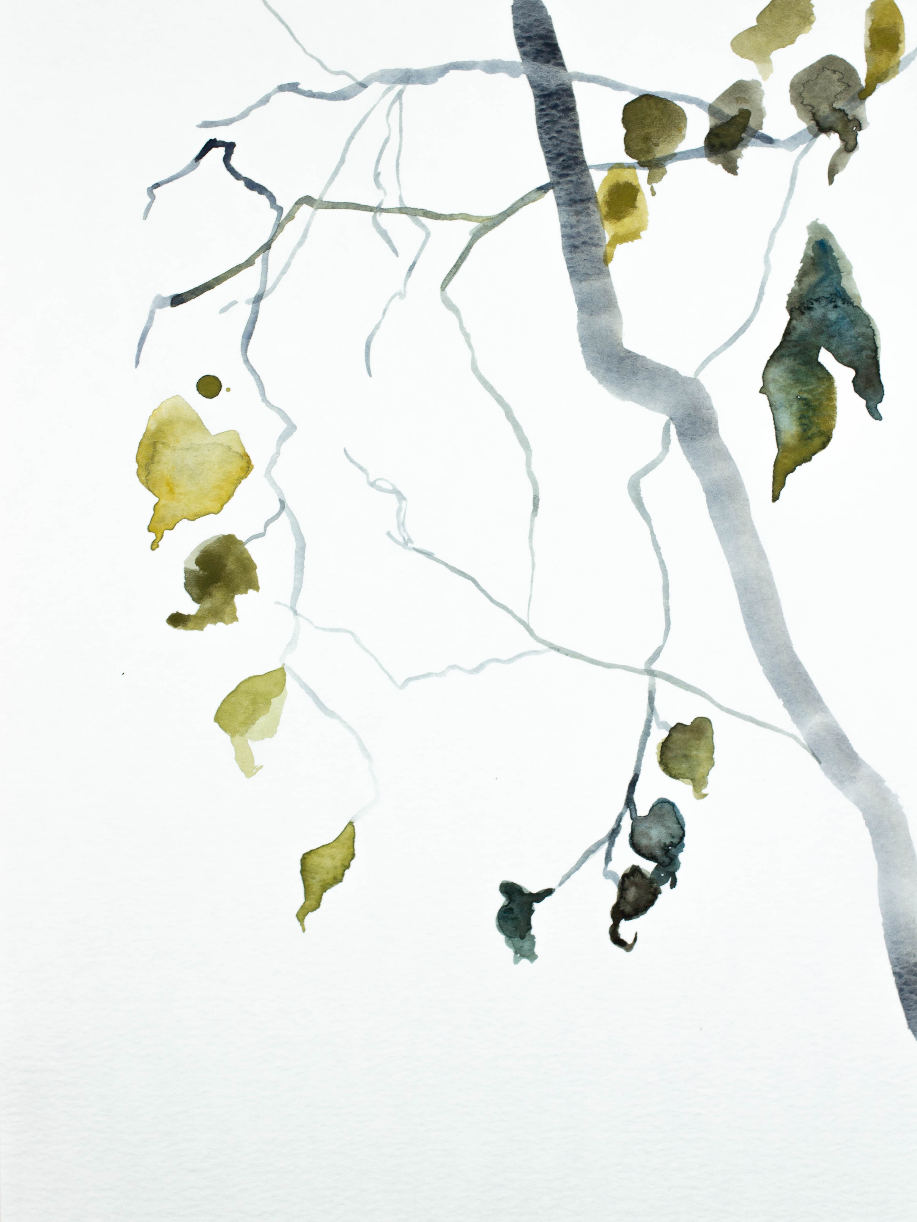 Elizabeth Becker, Branch Study No. 16 Elizabeth Becker, Branch Study No. 16