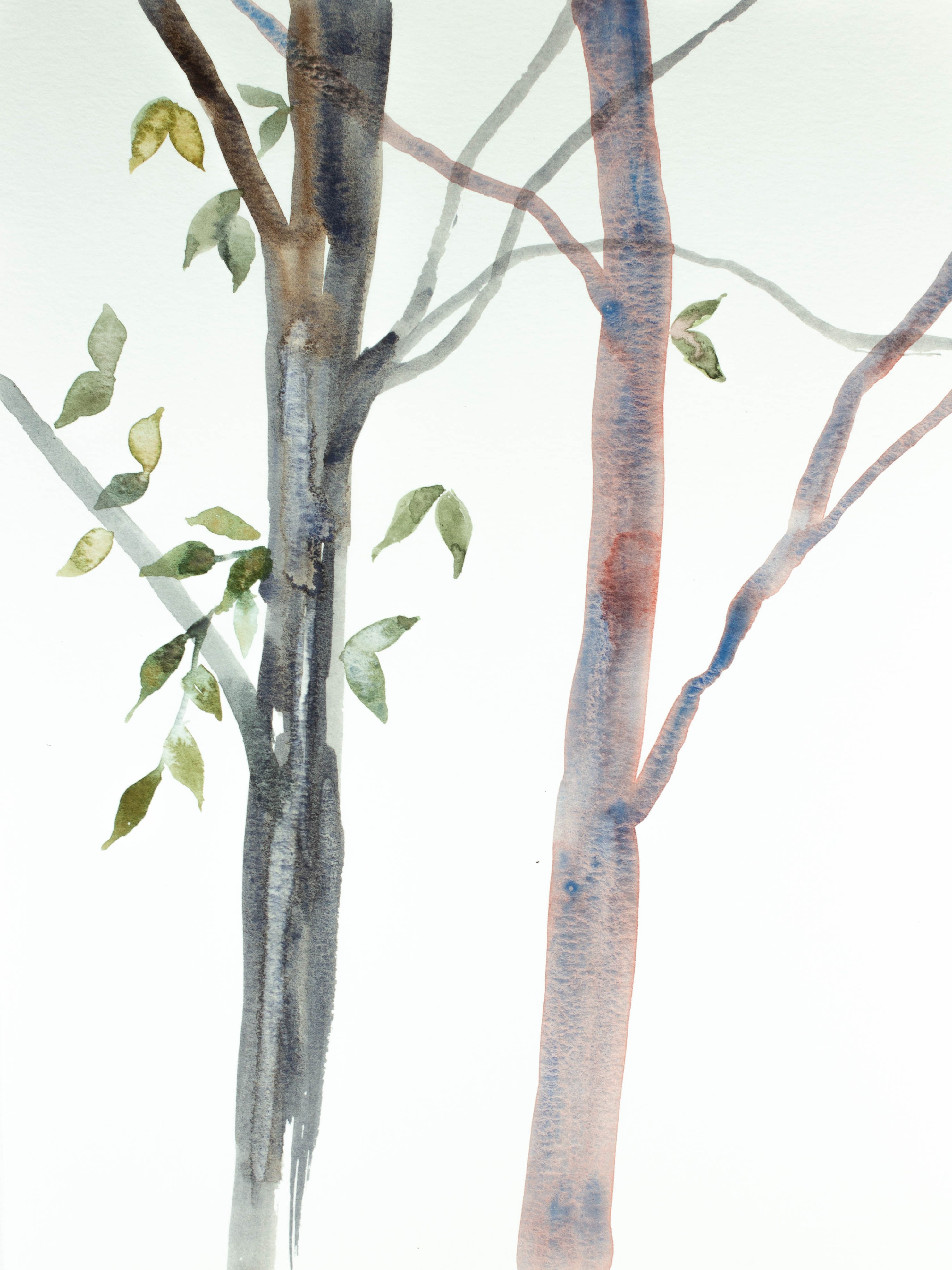 Elizabeth Becker, Tree Study No. 33 Elizabeth Becker, Tree Study No. 33