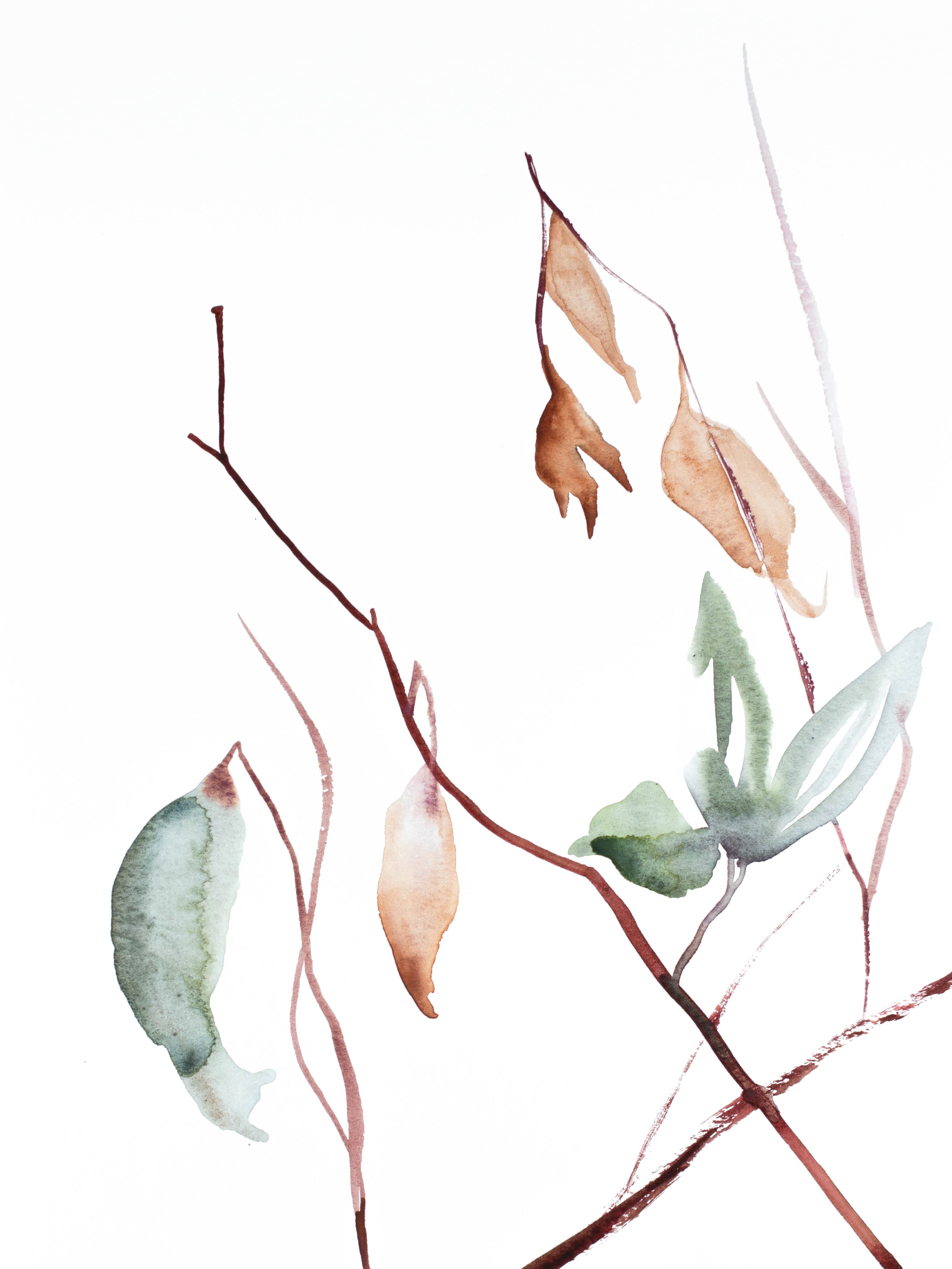 Elizabeth Becker, September Study No. 1 Elizabeth Becker, September Study No. 1