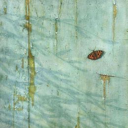 Butterfly, Mike Ellis