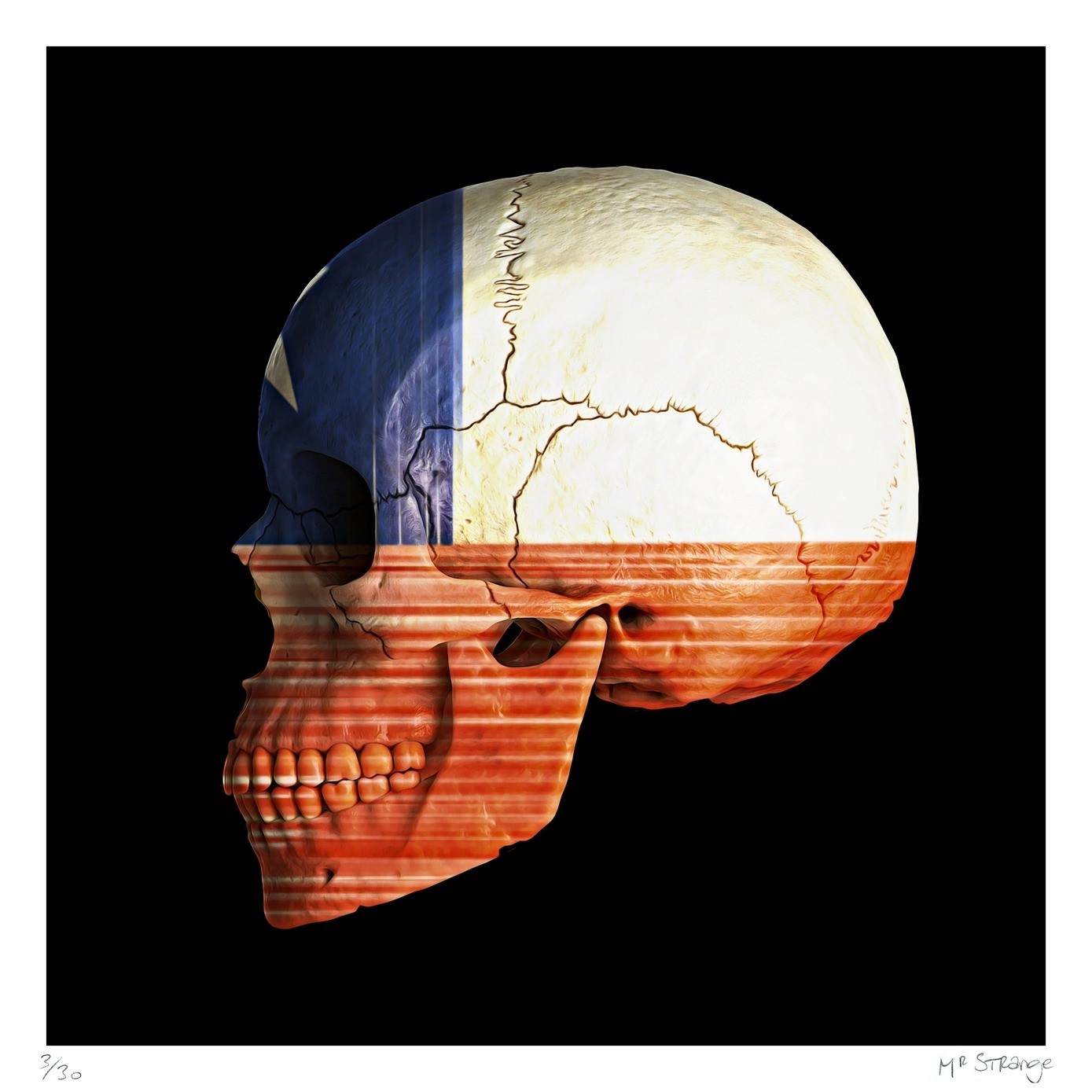 Jean-Marie Gitard (Mr Strange), Skull - Chile Jean-Marie Gitard (Mr Strange), Skull - Chile