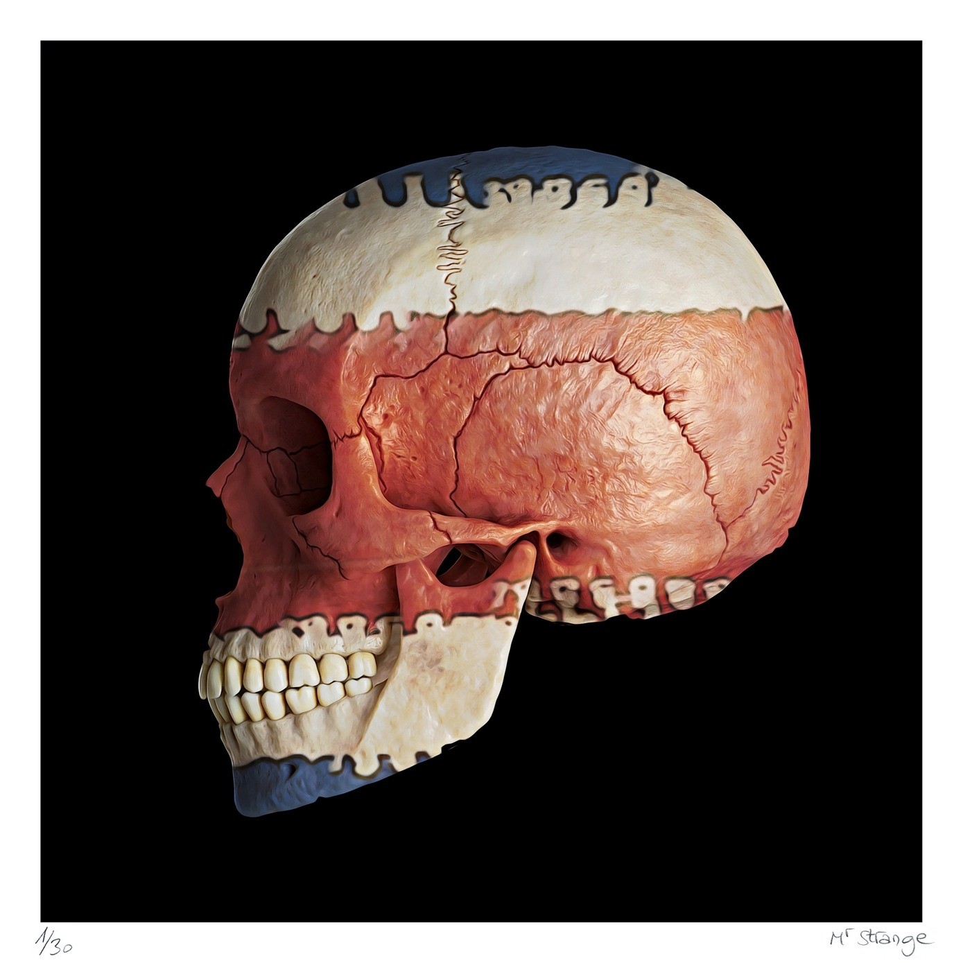Jean-Marie Gitard (Mr Strange), Skull - Costa Rica Jean-Marie Gitard (Mr Strange), Skull - Costa Rica