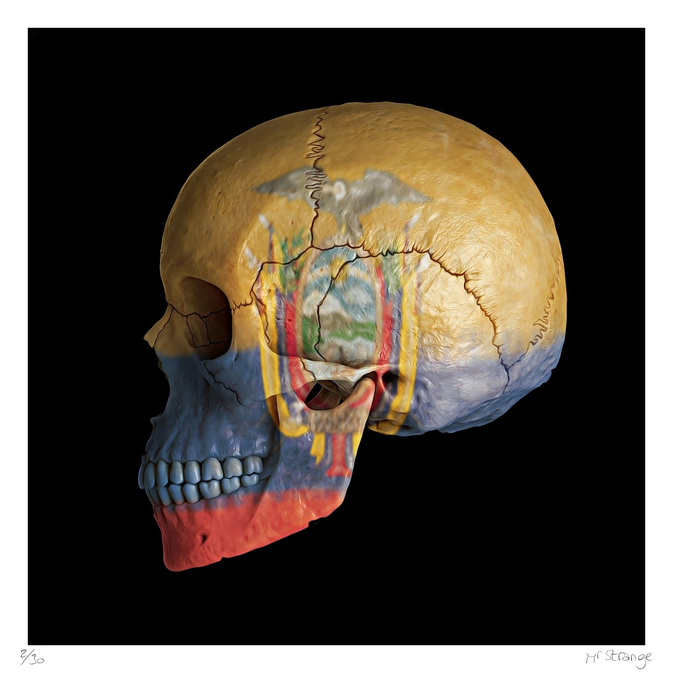 Jean-Marie Gitard (Mr Strange), Skull - Ecuador Jean-Marie Gitard (Mr Strange), Skull - Ecuador